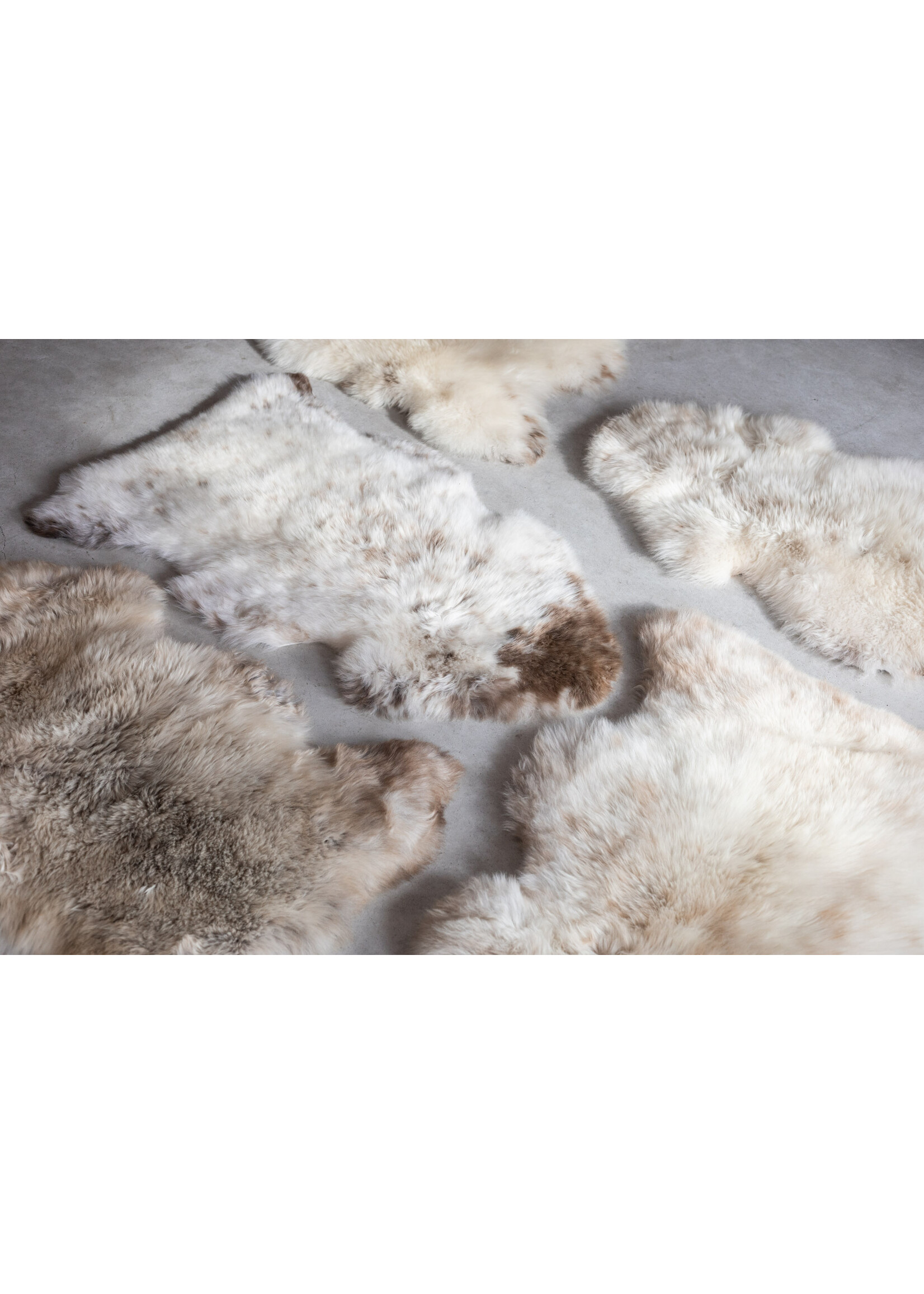 Van Buren sinds 1861 Sheepskin Melange