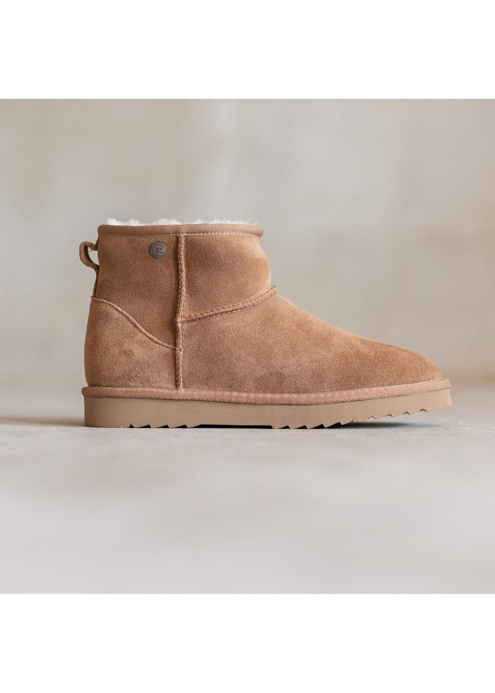 Van Buren sinds 1861 Buitenboots Vesper