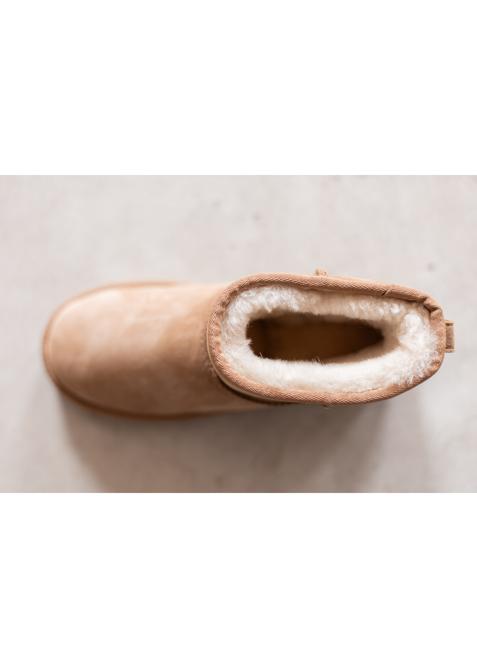 Van Buren sinds 1861 Buitenboots Vesper