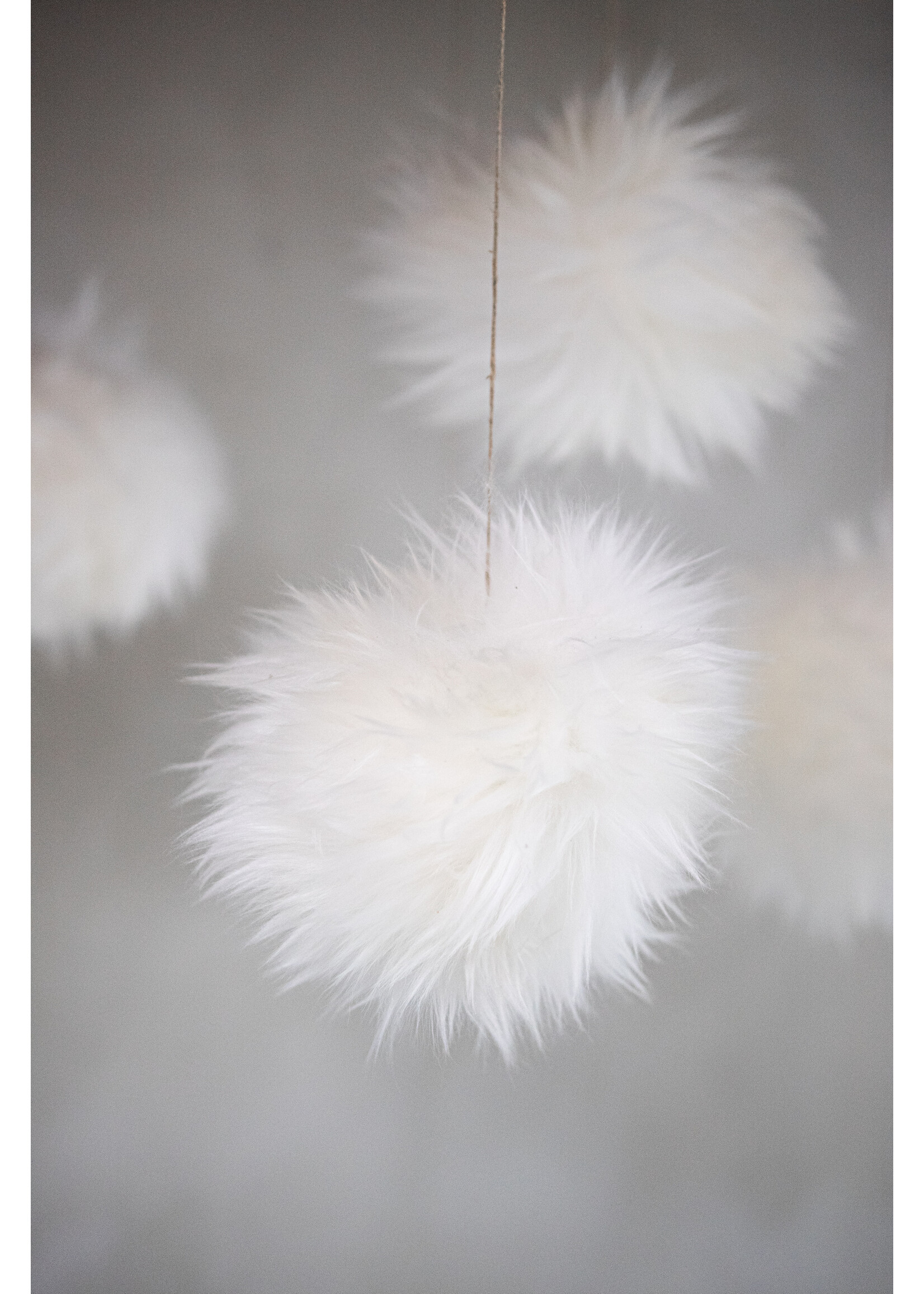 Van Buren sinds 1861 Peau de mouton Snowballs - White