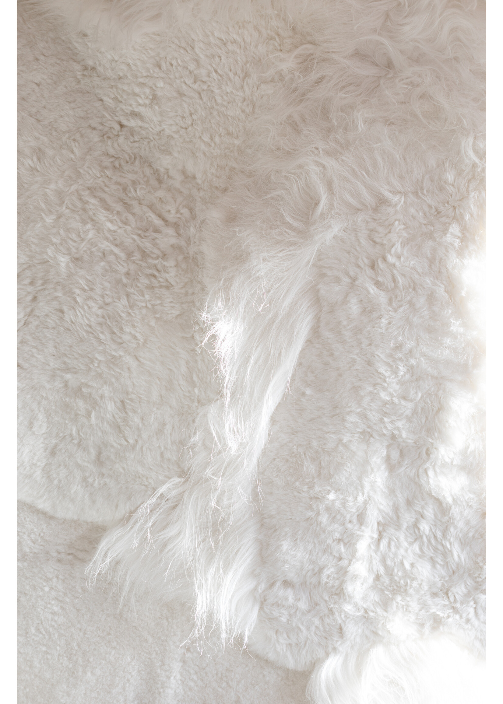 Van Buren sinds 1861 Coussin en peau de mouton mélangée - 50x50 cm