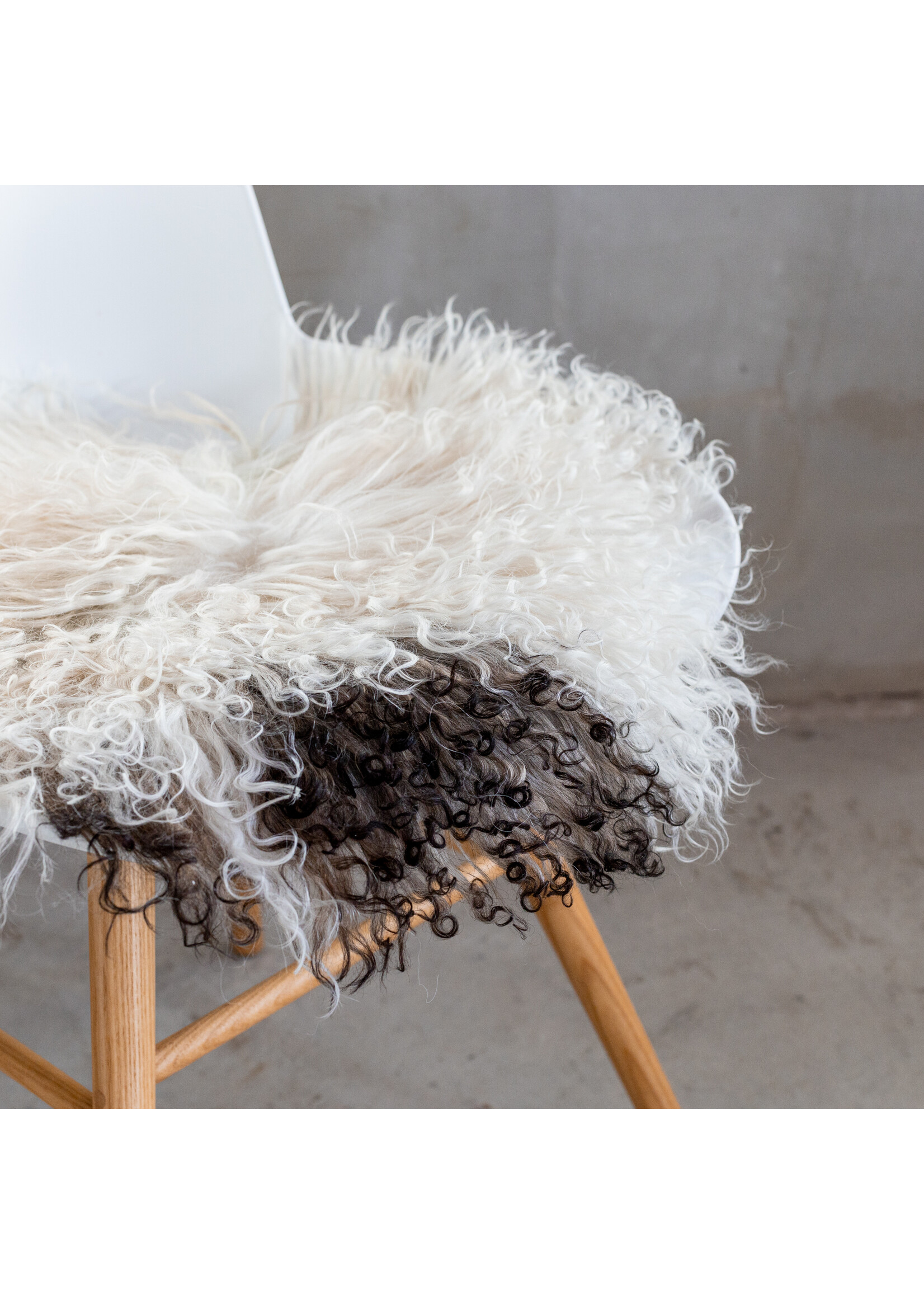 Van Buren sinds 1861 Curly sheepskin Chair pad