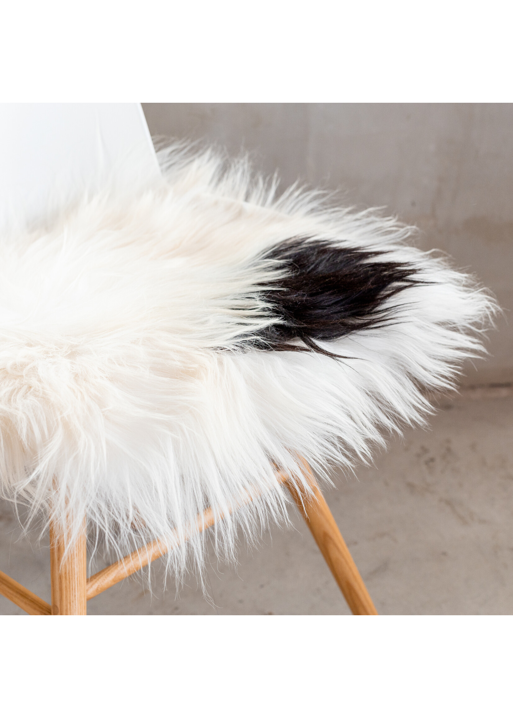 Van Buren sinds 1861 Icelandic Sheepskin Chair Pad