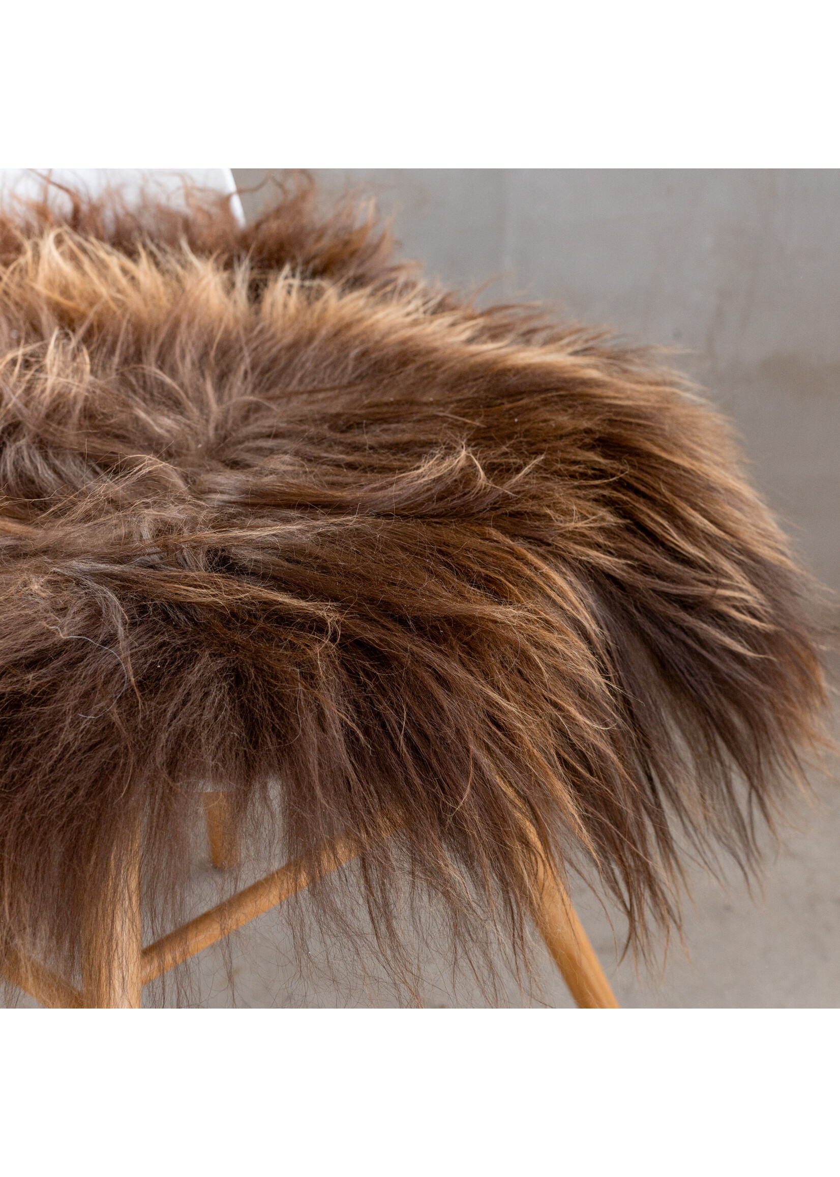 Van Buren sinds 1861 Icelandic Sheepskin Chair Pad