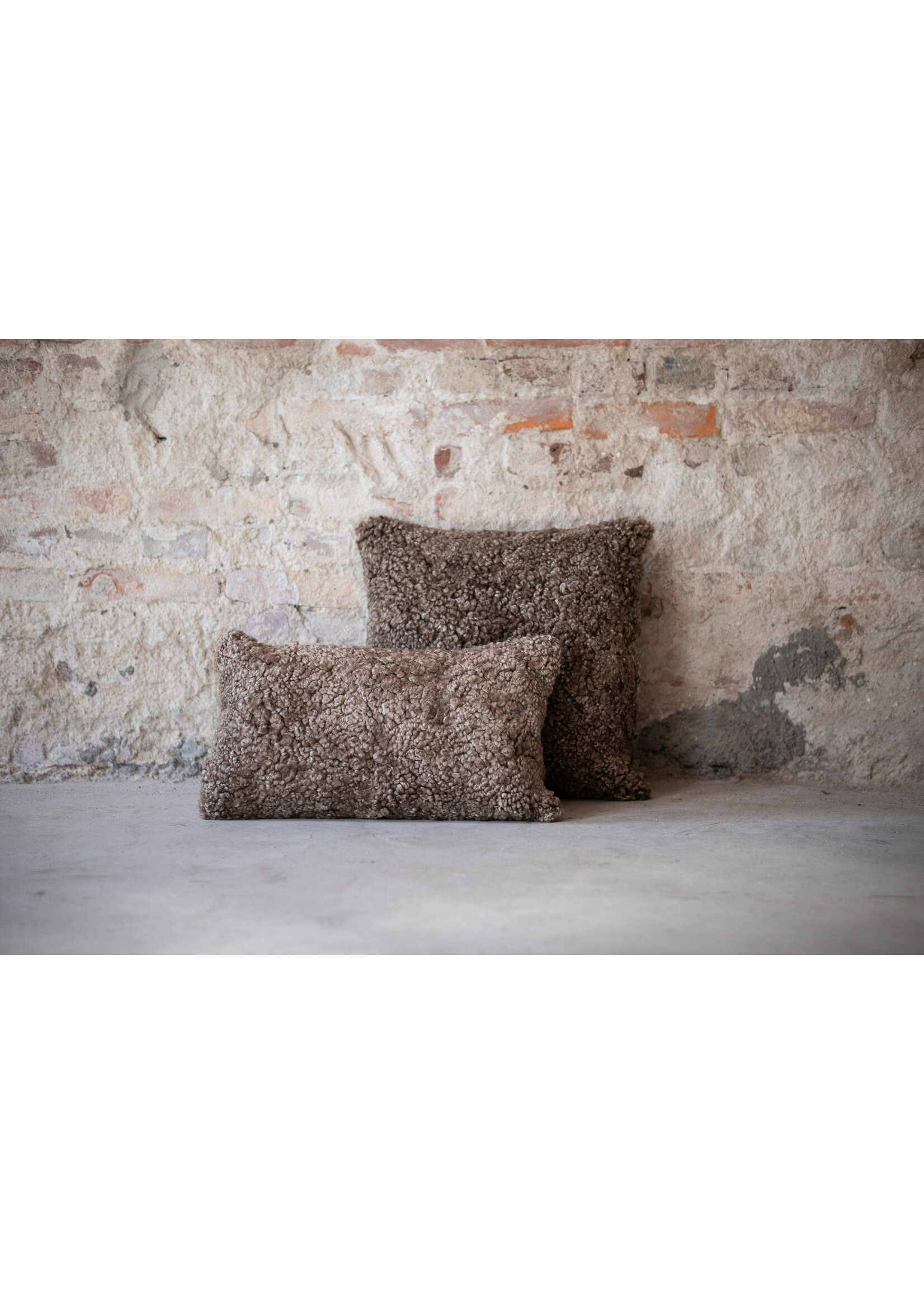 Van Buren sinds 1861 Crossbreed Schapenvacht Kussen - Sahara - 45x45cm
