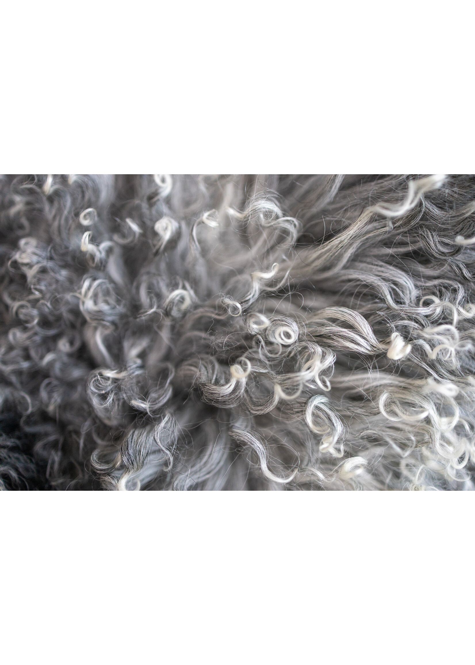 Van Buren sinds 1861 Coussin Tibet Gris Naturel - 45x45cm