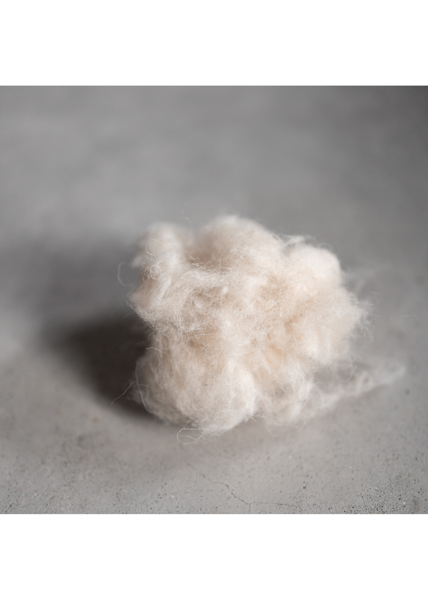 Van Buren sinds 1861 Hiking wool