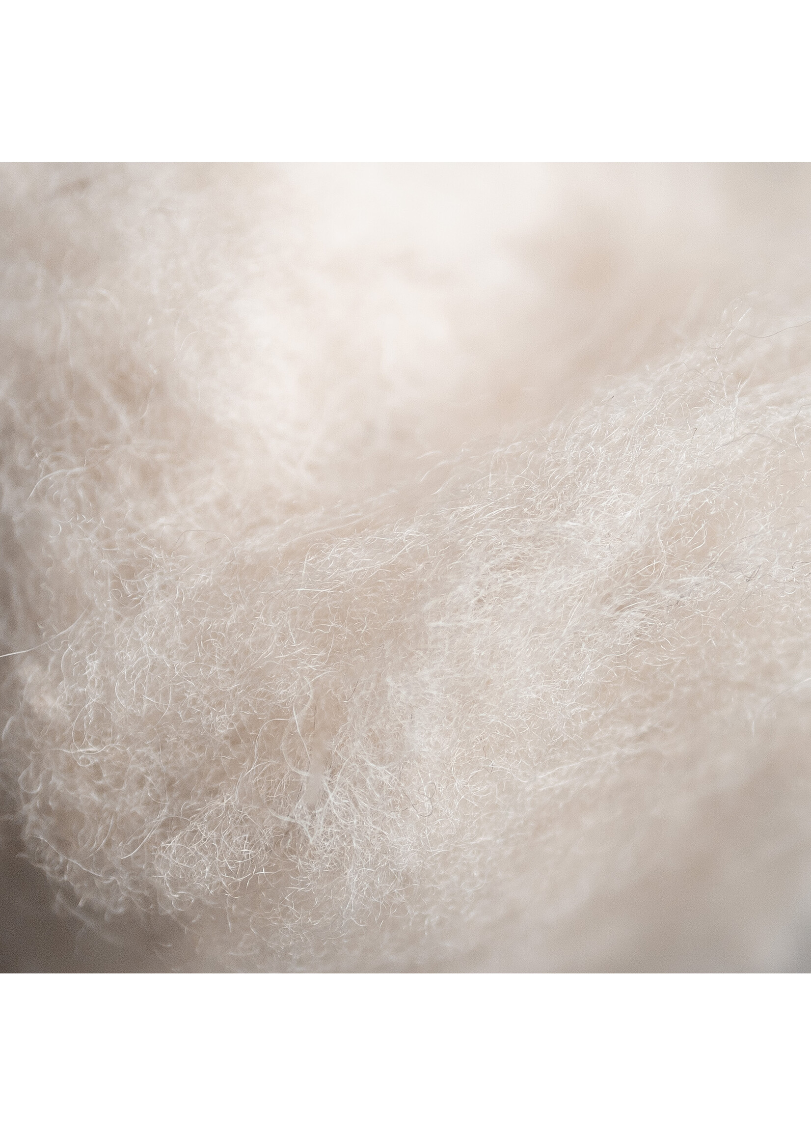 Van Buren sinds 1861 Hiking wool