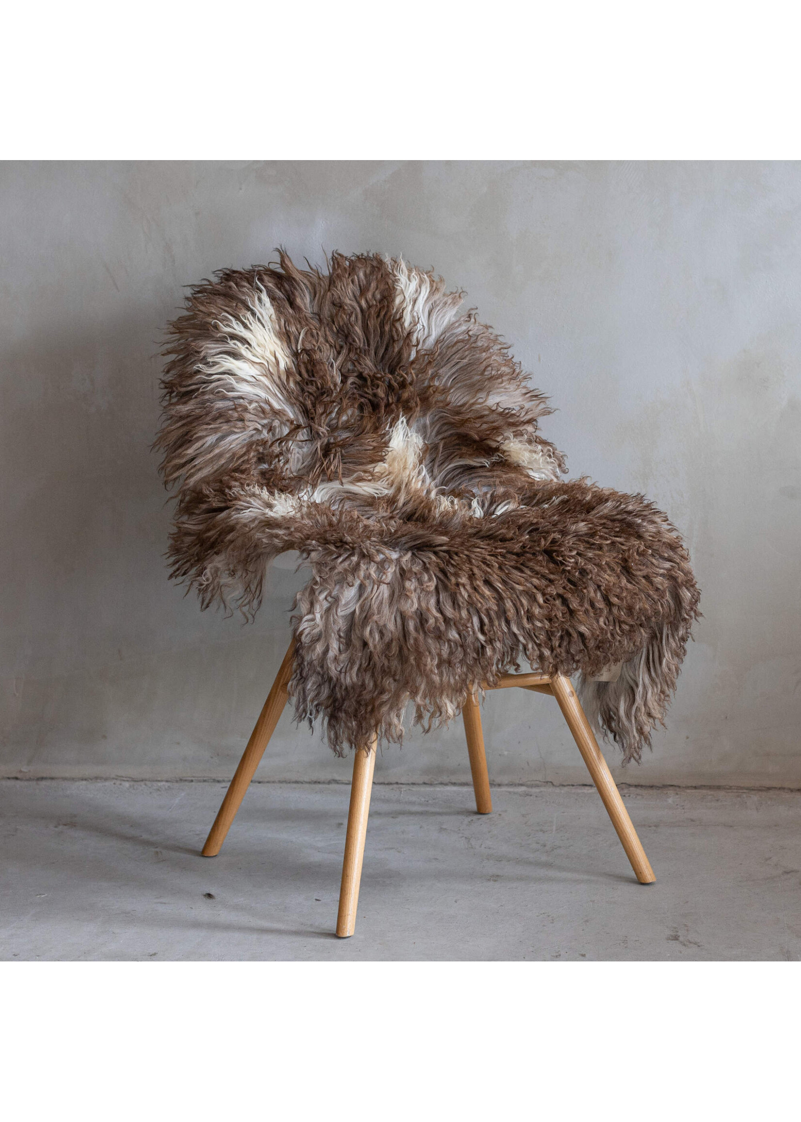 Van Buren sinds 1861 Austrian Mountain Sheep Blended - XL - SVV-281 - approx. 95x70cm
