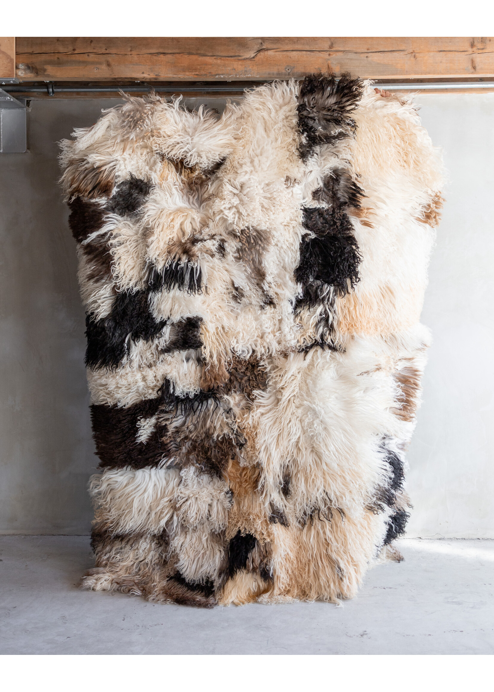 Van Buren sinds 1861 Curly sheepskin rug - 200x150cm - SKK-169
