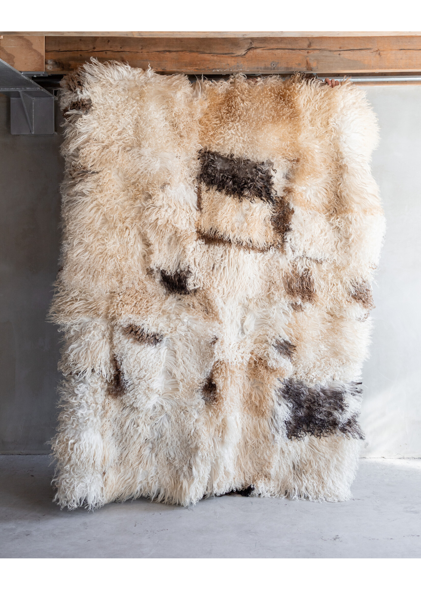 Van Buren sinds 1861 Curly sheepskin rug - 200x150cm - SKK-158