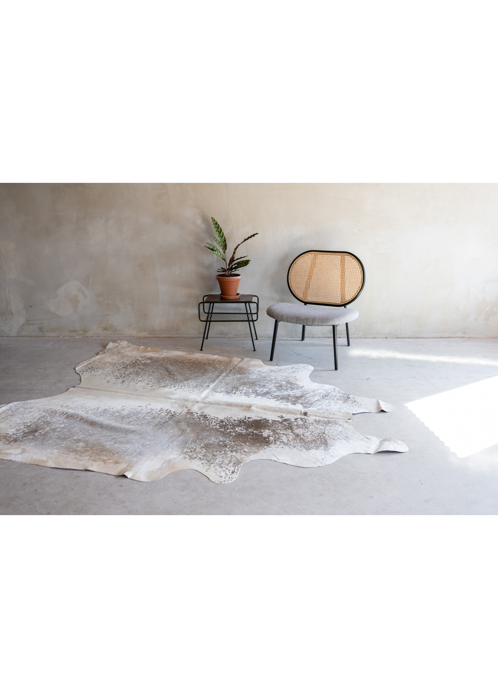 Van Buren sinds 1861 Kuhfell graubeige - 3-4m² - KH-044