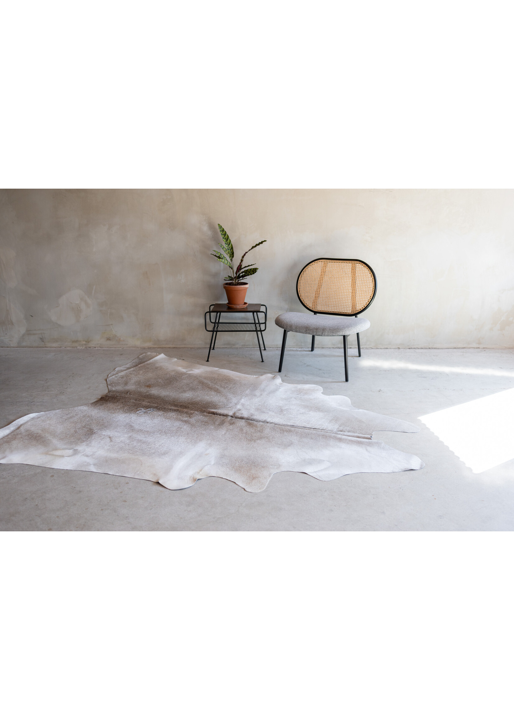 Van Buren sinds 1861 Koeienhuid grijsbeige - 3-4m² - KH-043