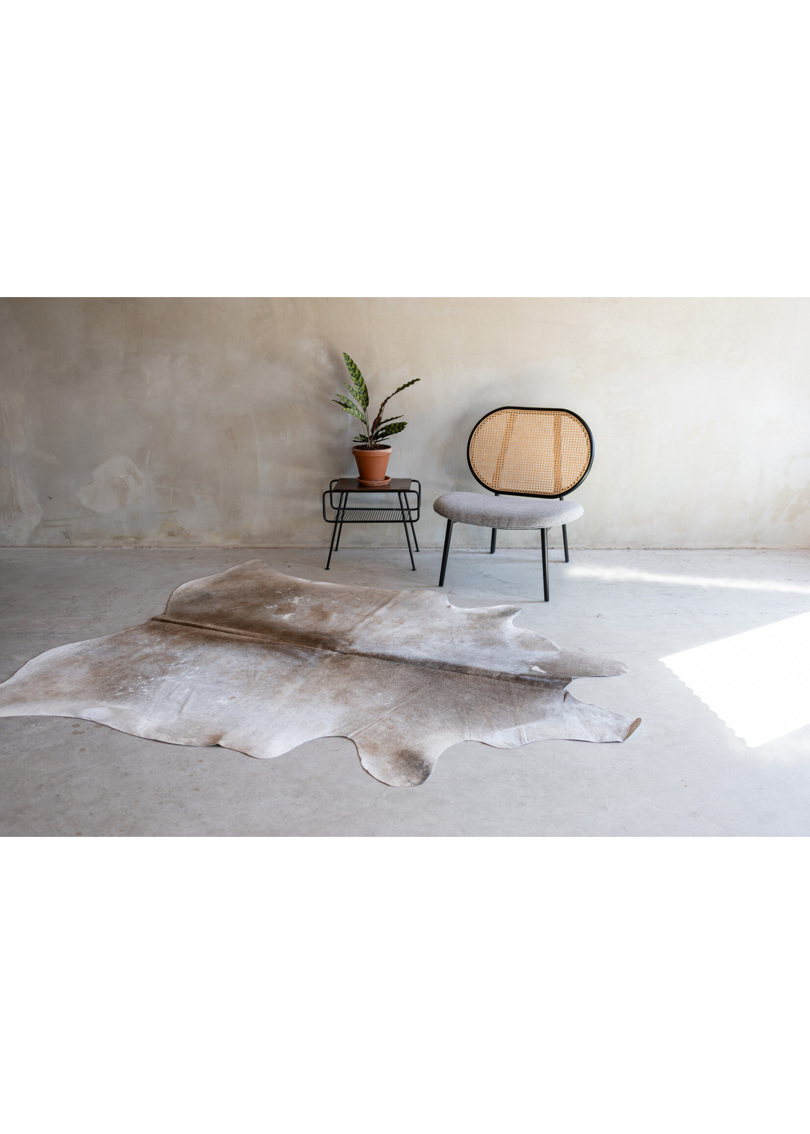Van Buren sinds 1861 Koeienhuid grijsbeige - 3-4m² - KH-042