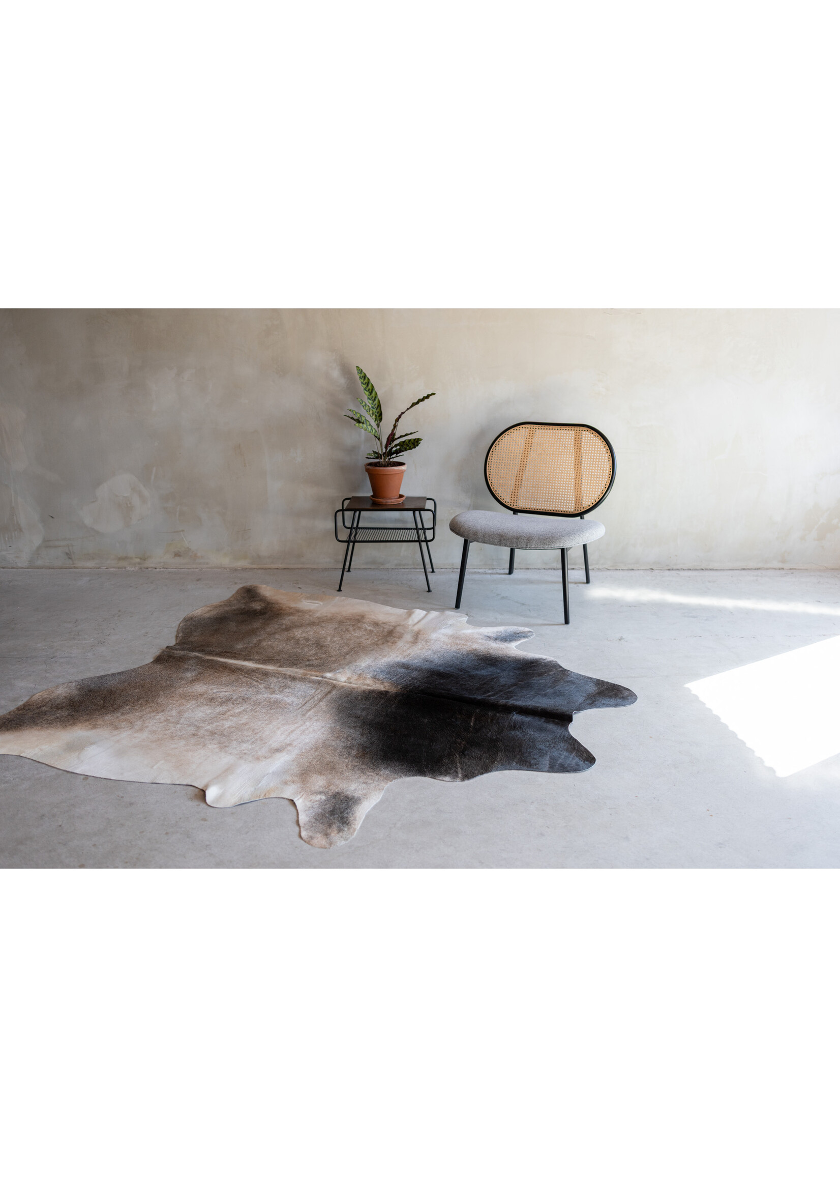 Van Buren sinds 1861 Cowhide greybeige - 3-4m² - KH-041