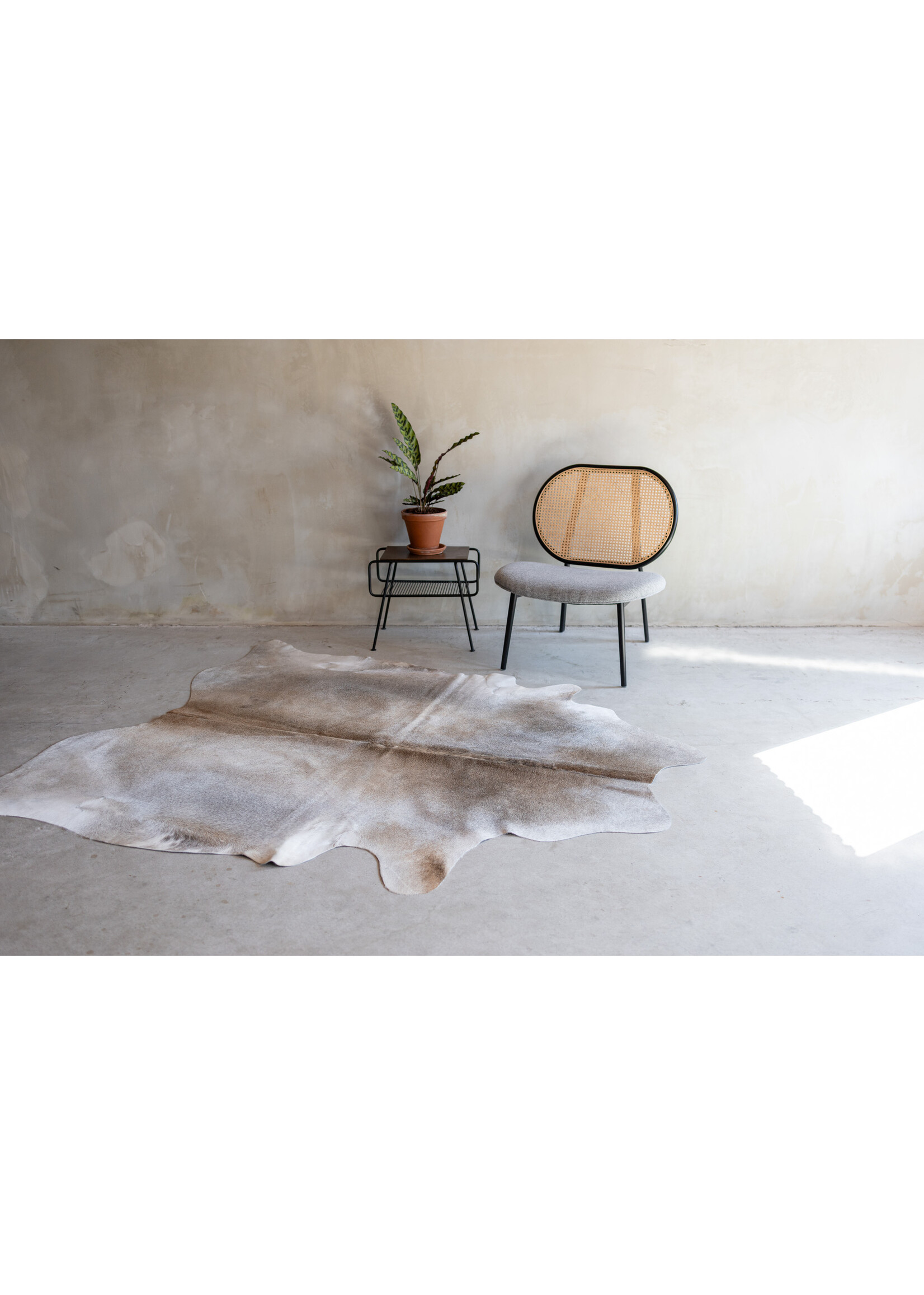 Van Buren sinds 1861 Koeienhuid grijsbeige - 3-4m² - KH-040