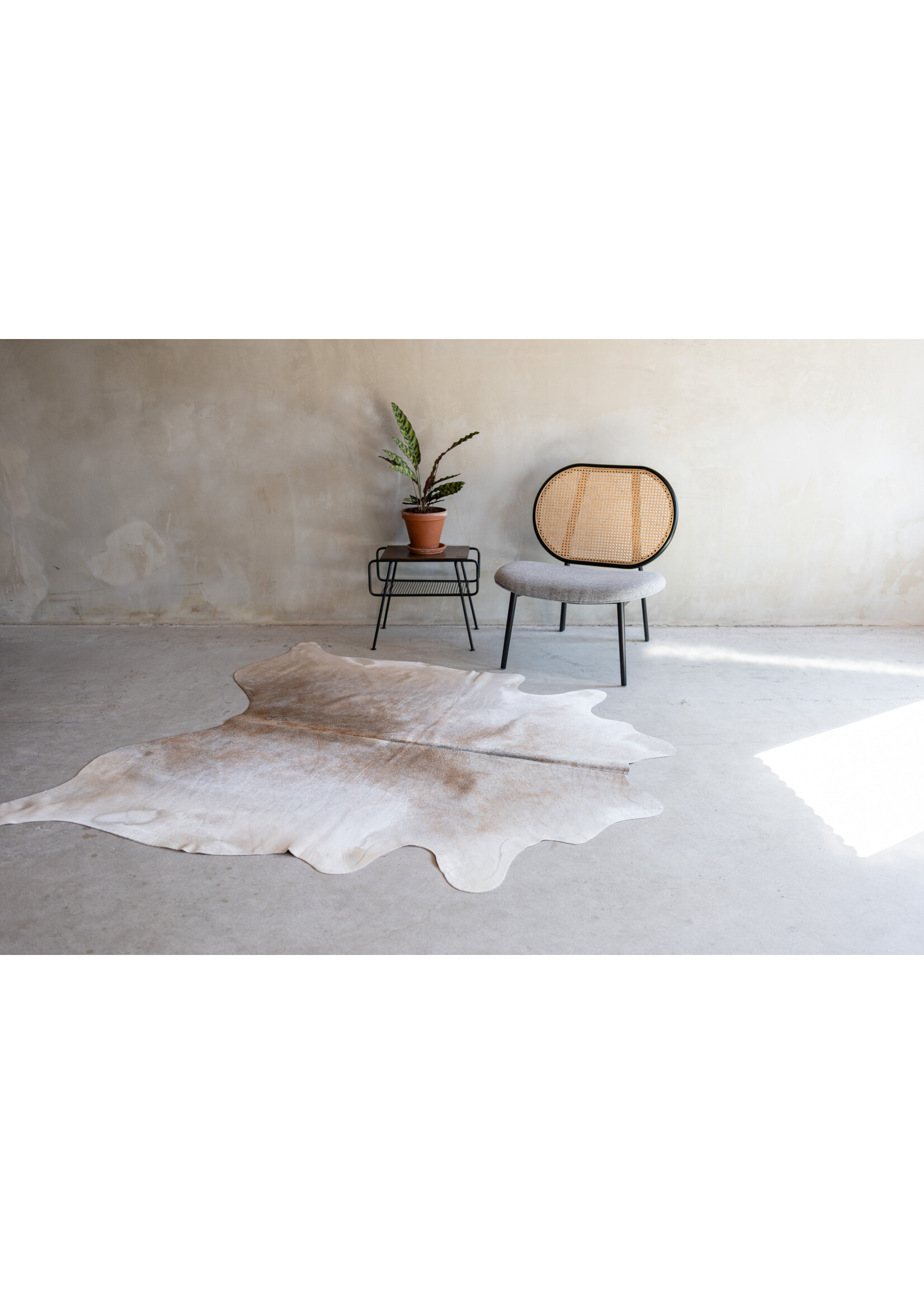 Van Buren sinds 1861 Koeienhuid grijsbeige - 3-4m² - KH-039