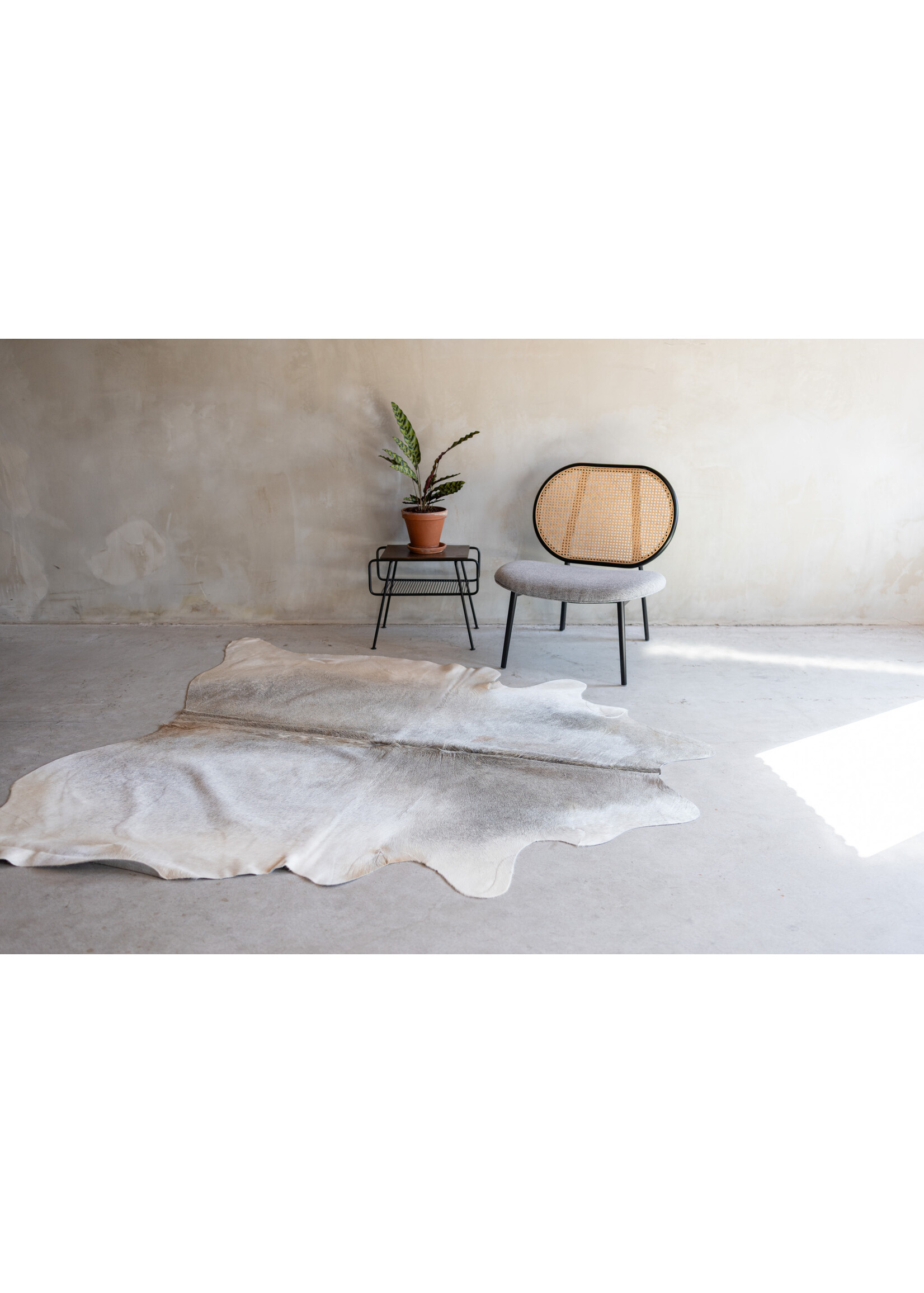 Van Buren sinds 1861 Koeienhuid grijsbeige - 3-4m² - KH-038