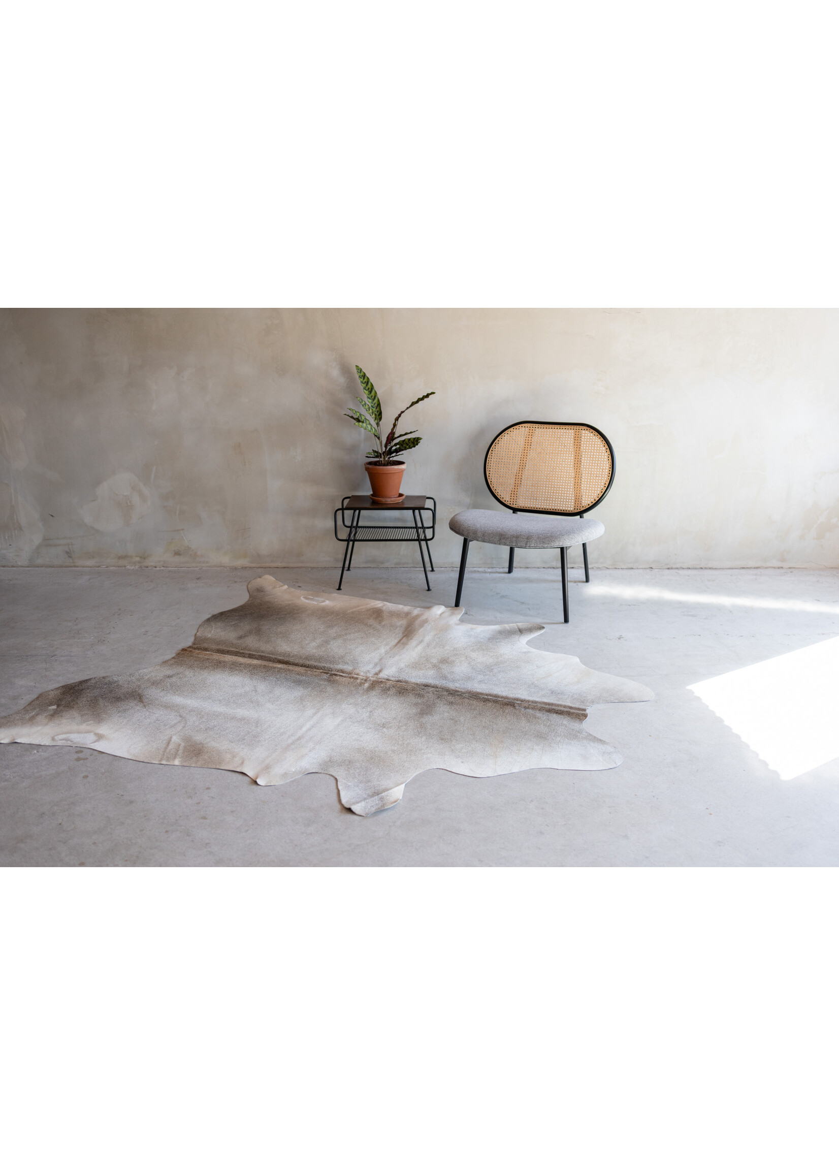 Van Buren sinds 1861 Cowhide greybeige - 3-4m² - KH-037