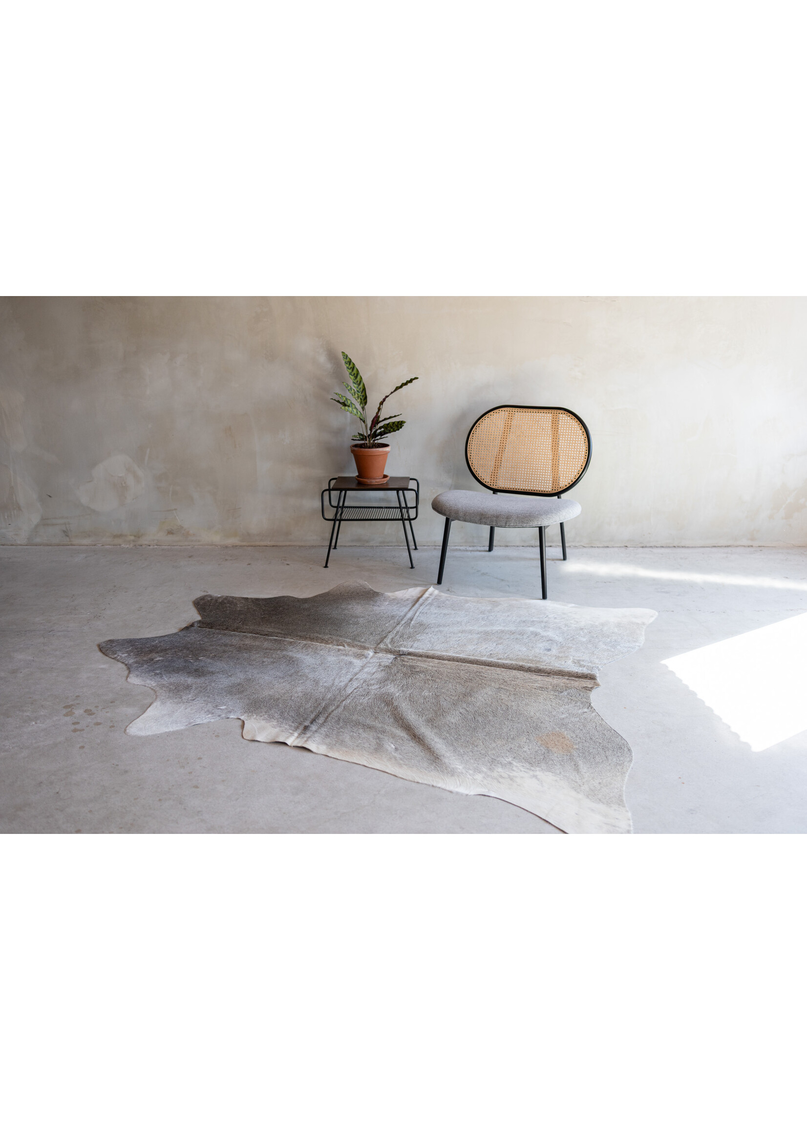Van Buren sinds 1861 Kuhfell graubeige - 3-4m² - KH-036