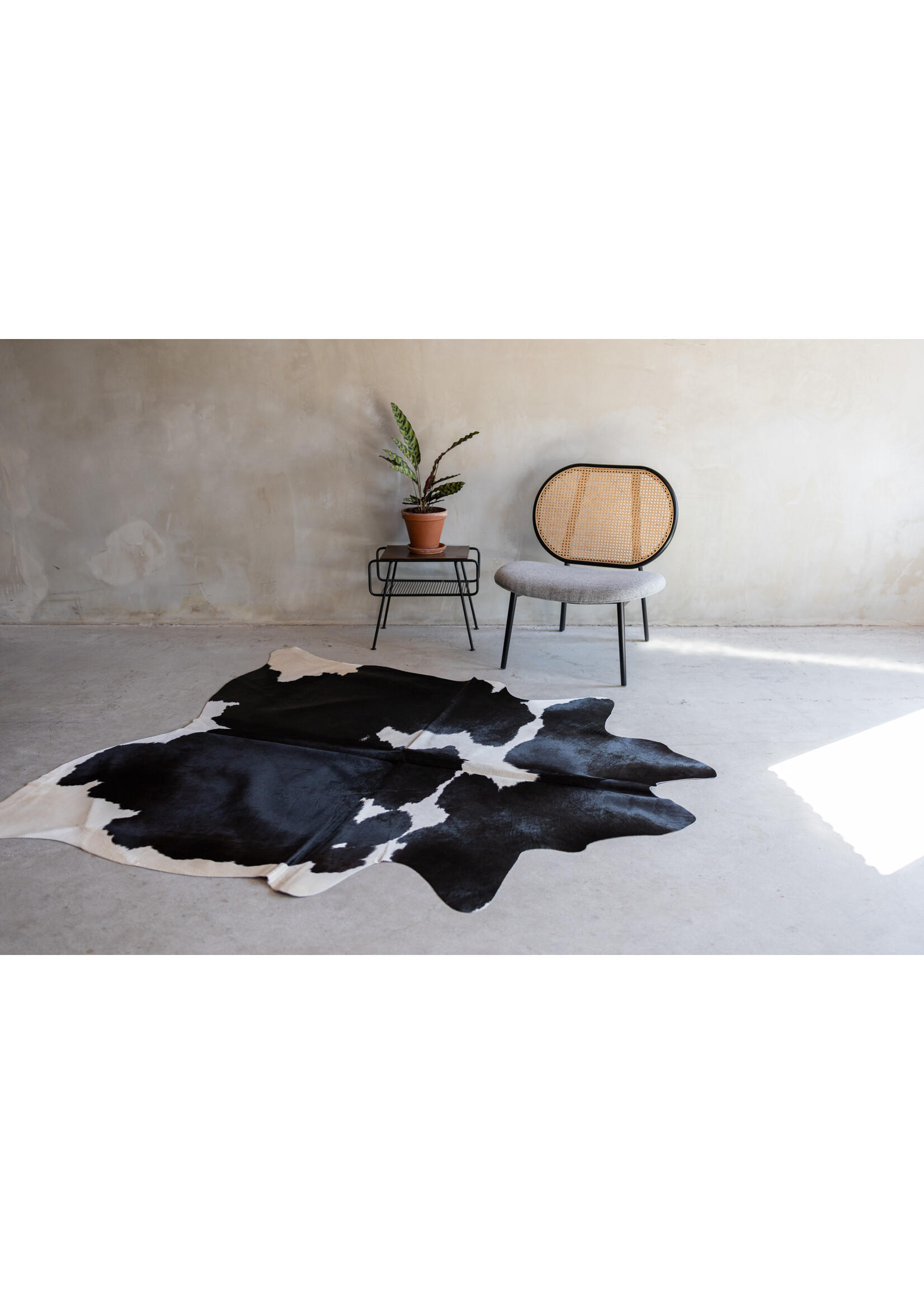 Van Buren sinds 1861 Koeienhuid zwartbont - 3-4m² - KH-034