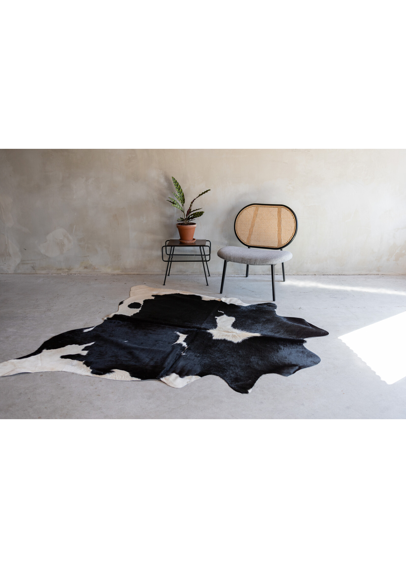 Van Buren sinds 1861 Koeienhuid zwartbont - 3-4m² - KH-033
