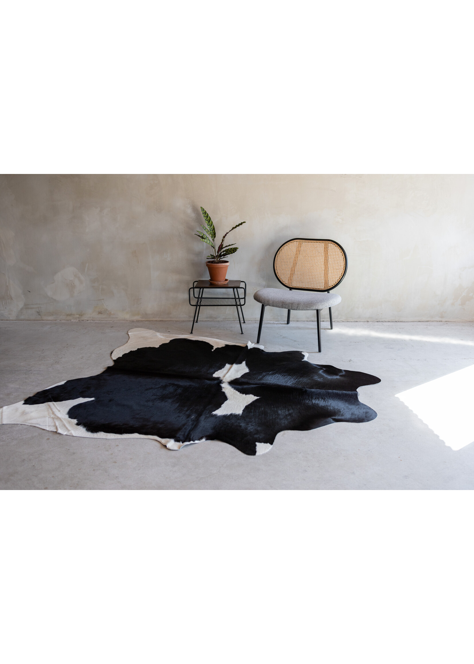 Van Buren sinds 1861 Koeienhuid zwartbont - 3-4m² - KH-032