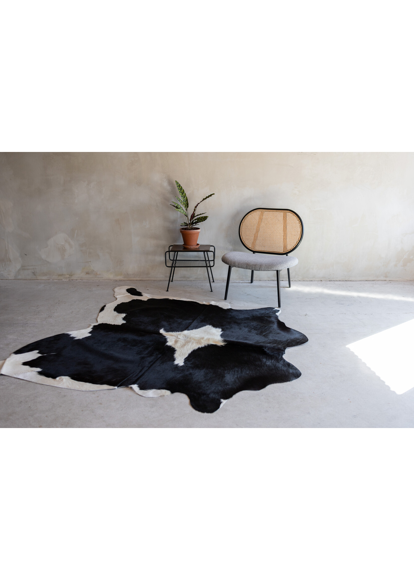 Van Buren sinds 1861 Koeienhuid zwartbont - 3-4m² - KH-030