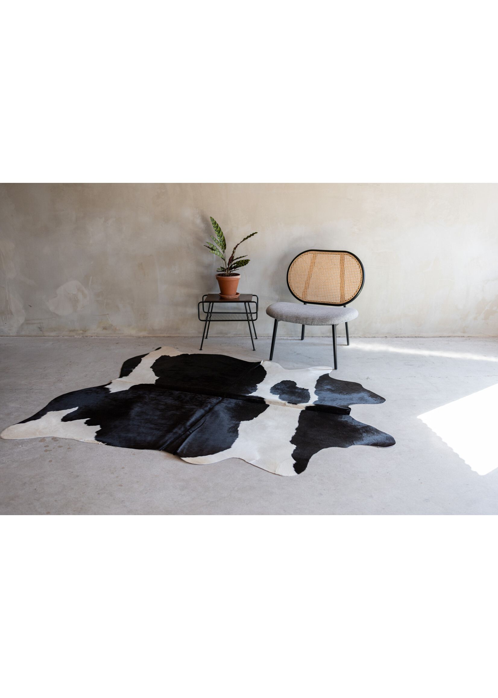Van Buren sinds 1861 Kuhfell schwarz und weiß - 3-4m² - KH-028