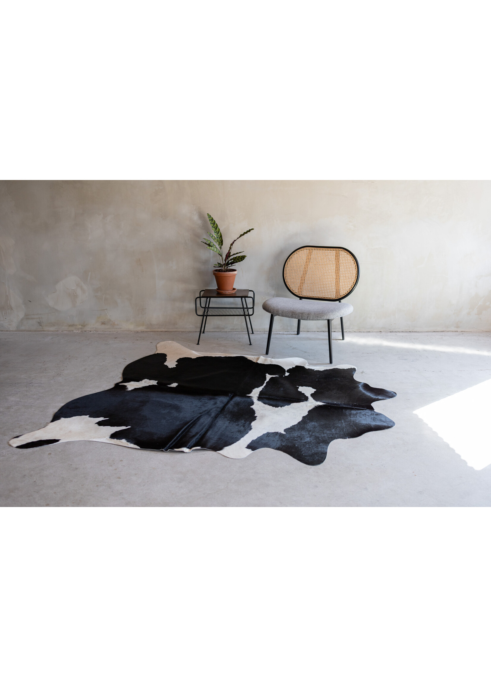 Van Buren sinds 1861 Koeienhuid zwartbont - 3-4m² - KH-026