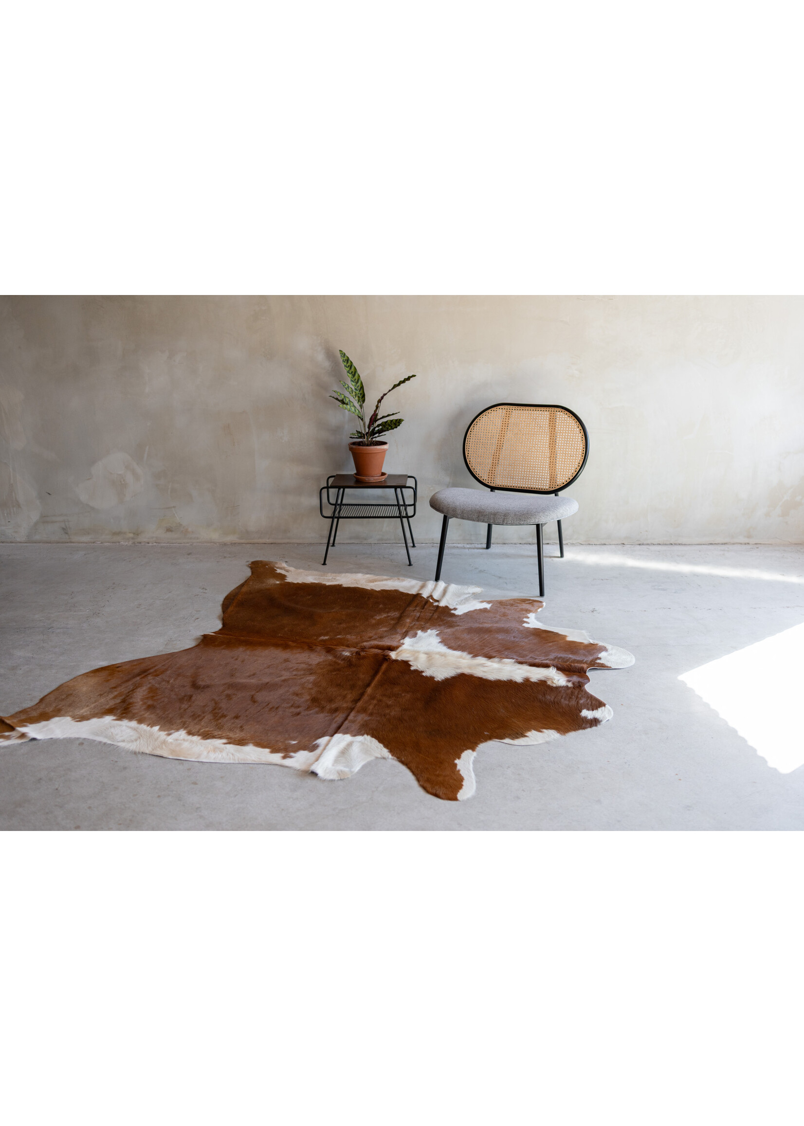Van Buren sinds 1861 Koeeinhuid roodbont - 3-4m² - KH-025