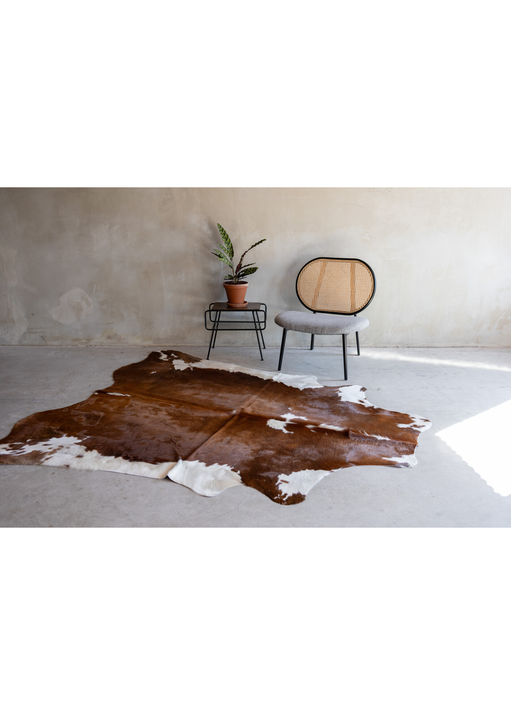 Van Buren sinds 1861 Koeeinhuid roodbont - 3-4m² - KH-024