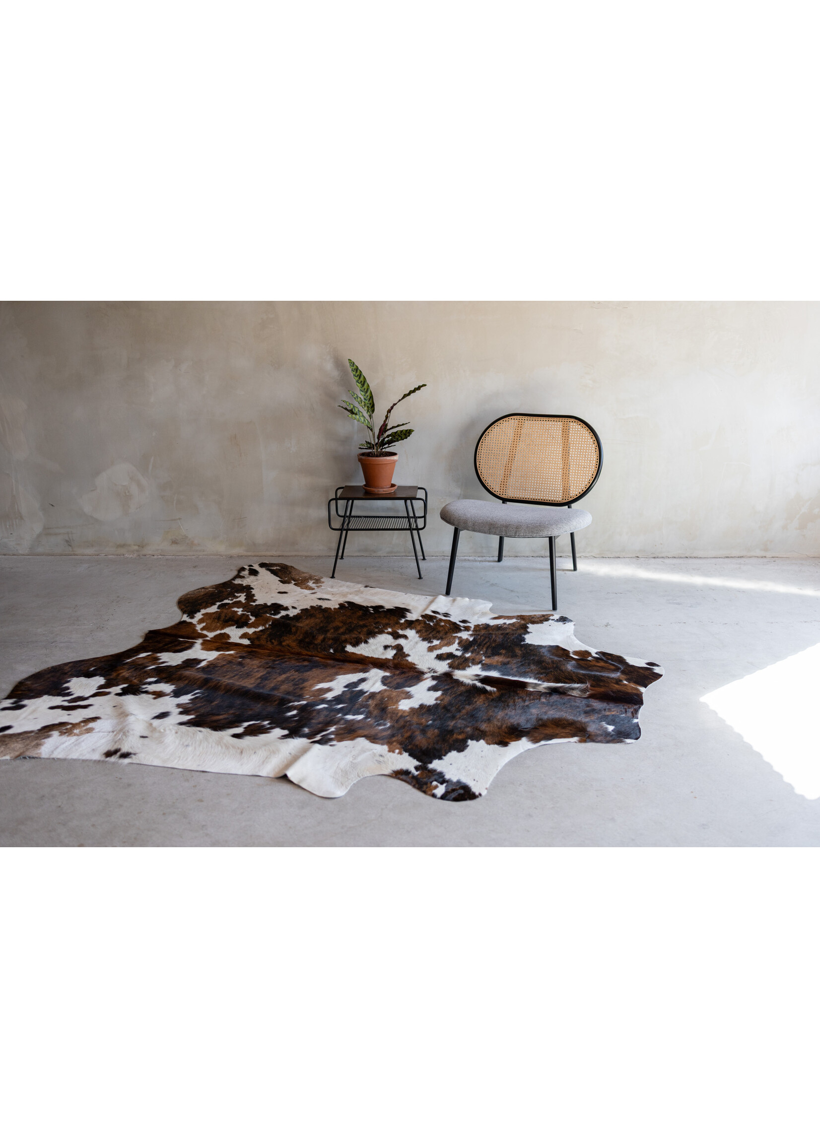 Van Buren sinds 1861 Cowhide tricolor - 3-4m² - KH-022