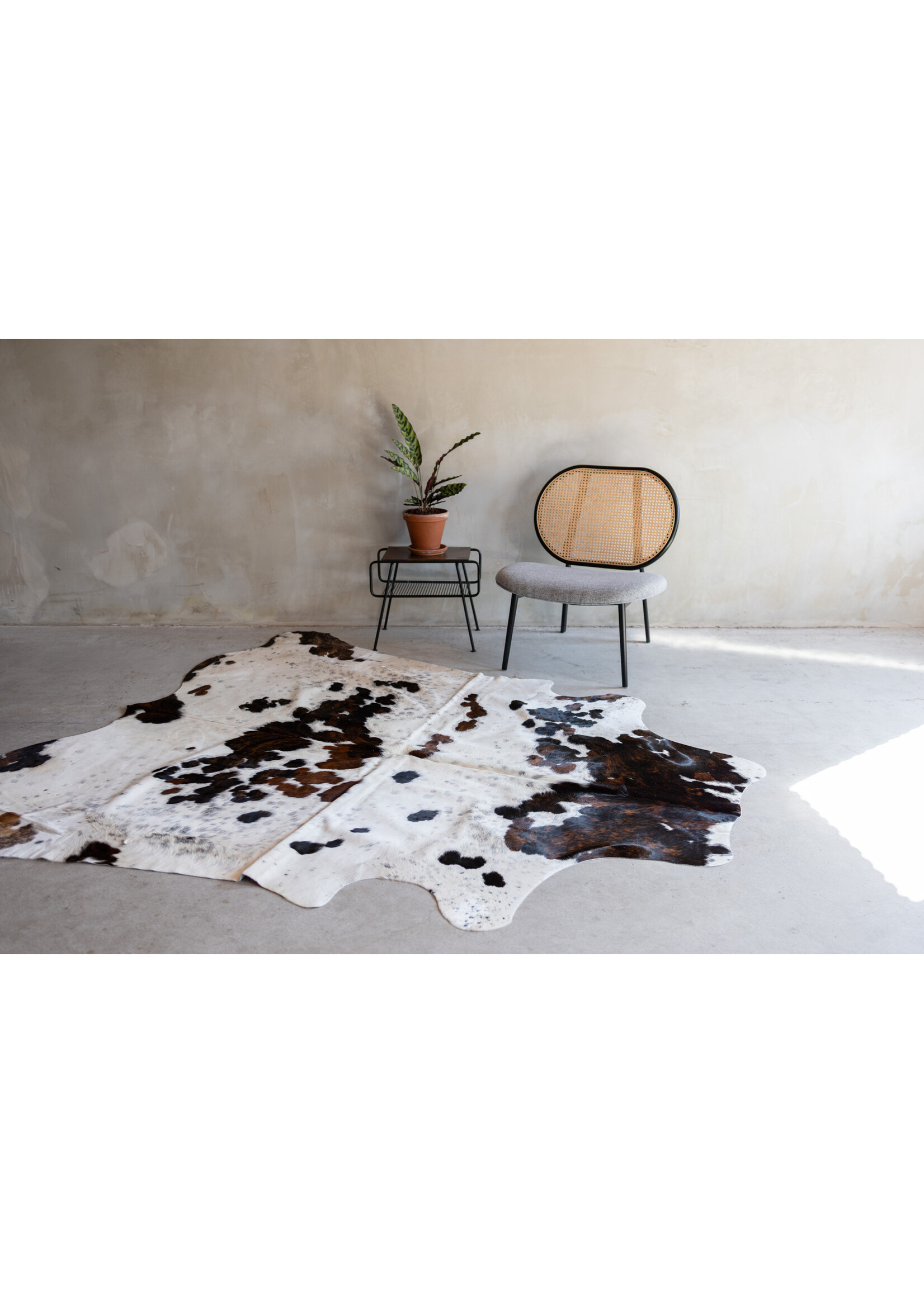 Van Buren sinds 1861 Cowhide tricolor - 3-4m² - KH-021