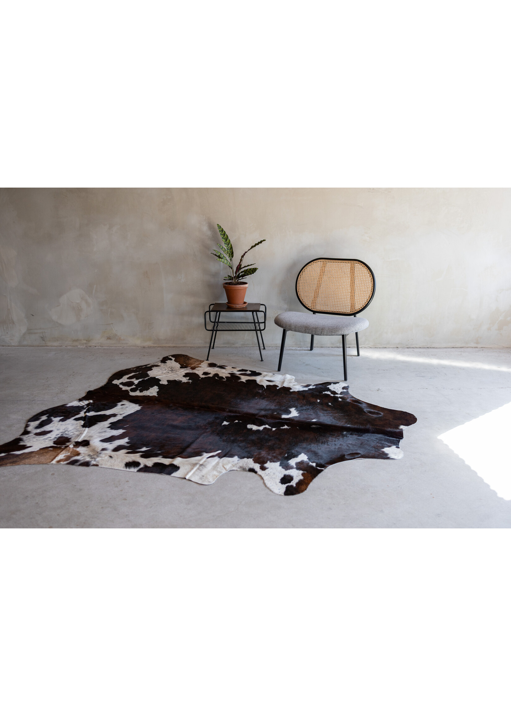 Van Buren sinds 1861 Cowhide tricolor - 3-4m² - KH-020