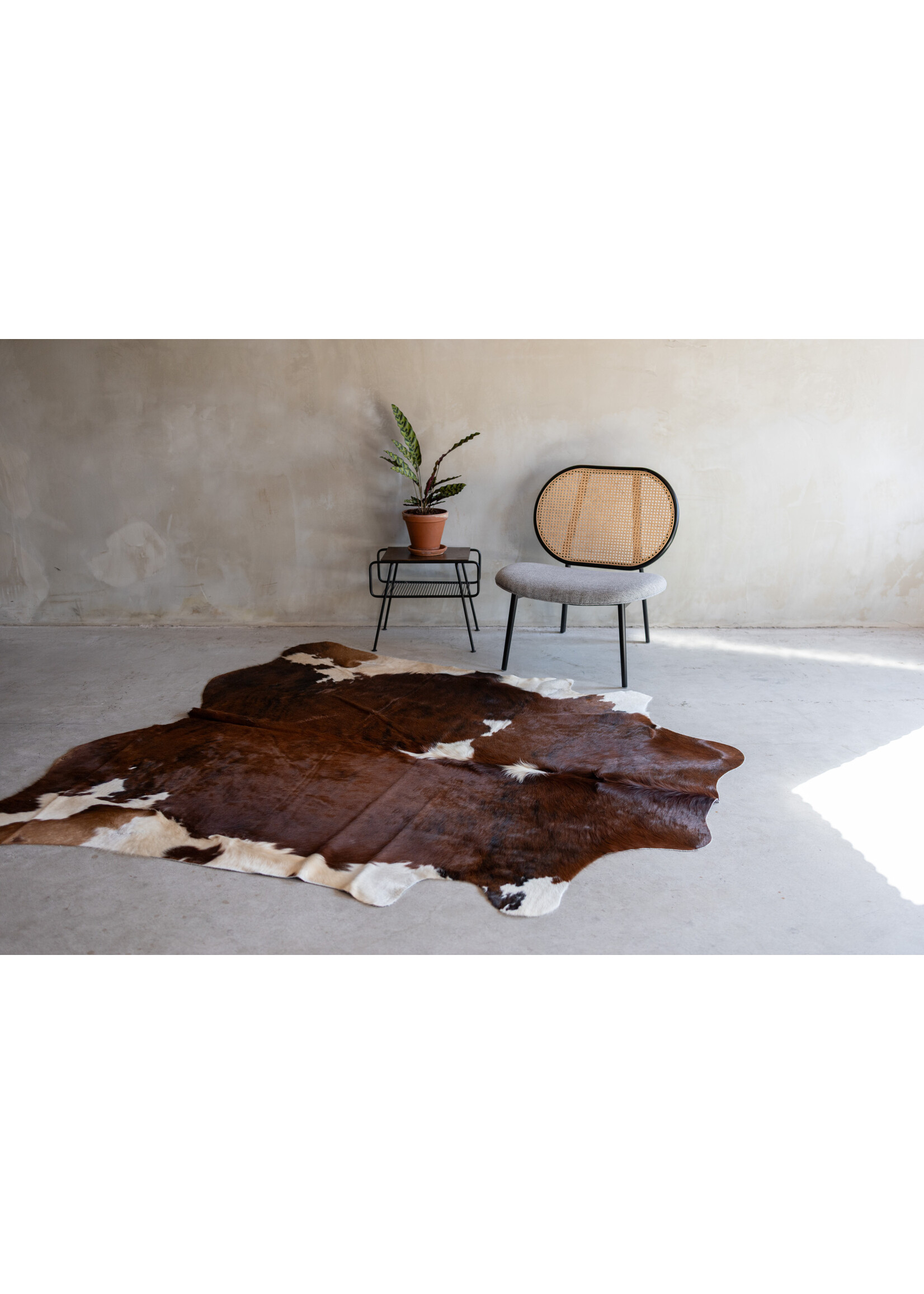 Van Buren sinds 1861 Cowhide tricolor - 3-4m² - KH-019