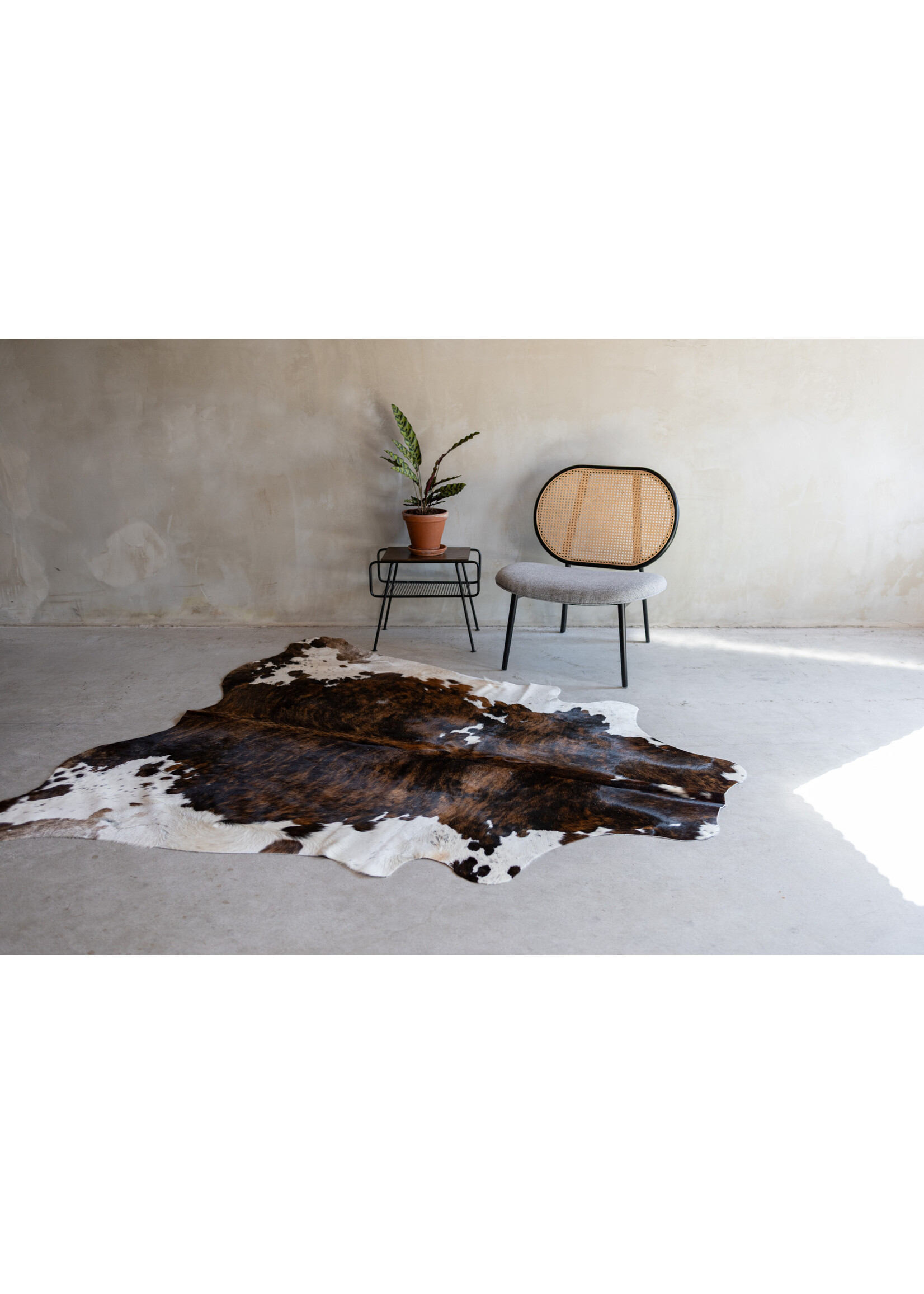Van Buren sinds 1861 Cowhide tricolor - 3-4m² - KH-018