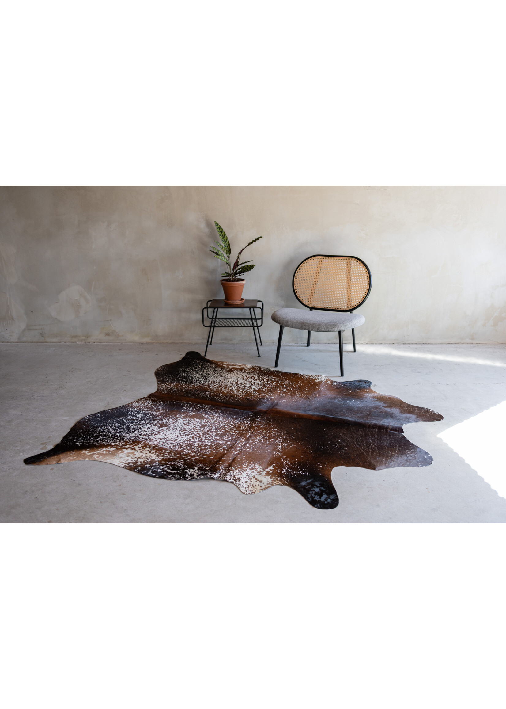 Van Buren sinds 1861 Cowhide spotted - 3-4m² - KH-015