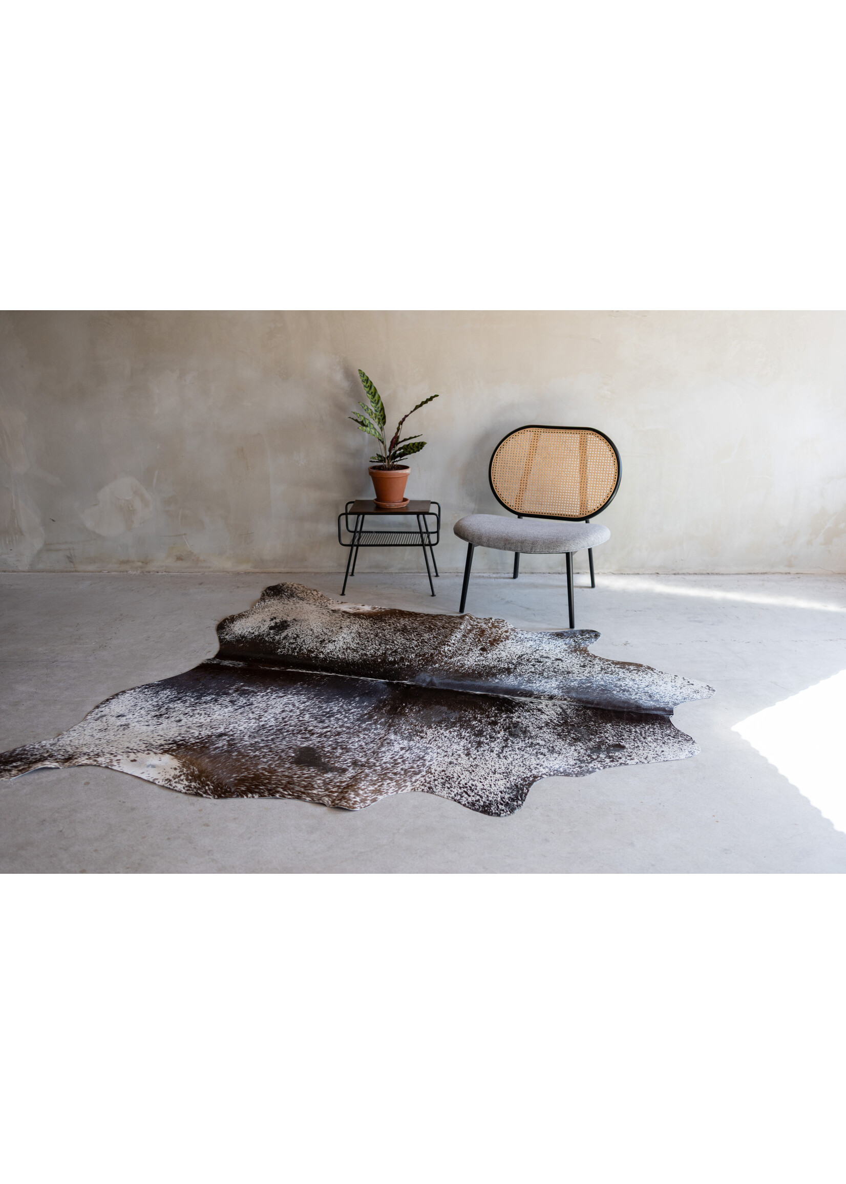 Van Buren sinds 1861 Cowhide spotted - 3-4m² - KH-014