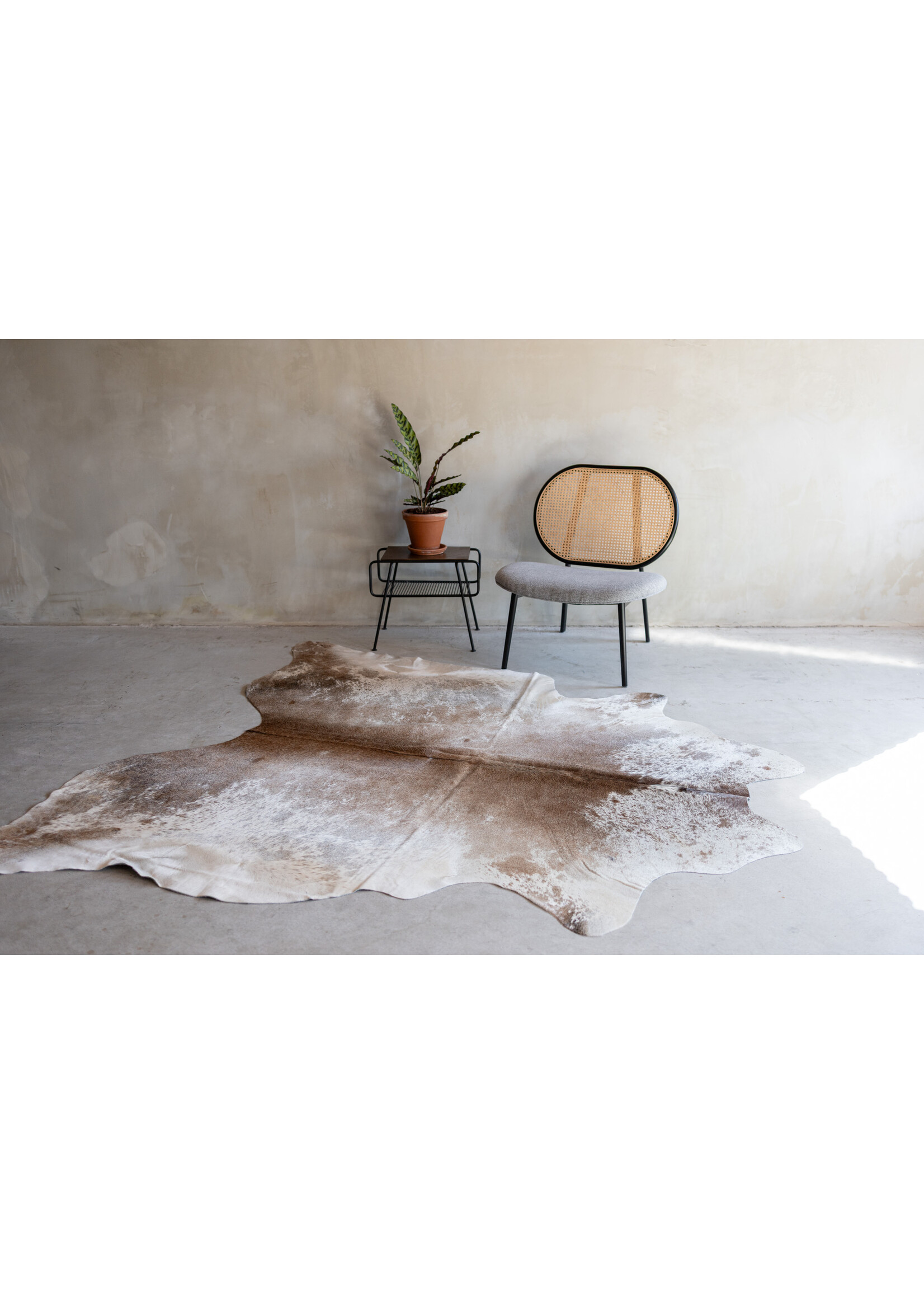 Van Buren sinds 1861 Kuhfell spotted - 3-4m² - KH-013