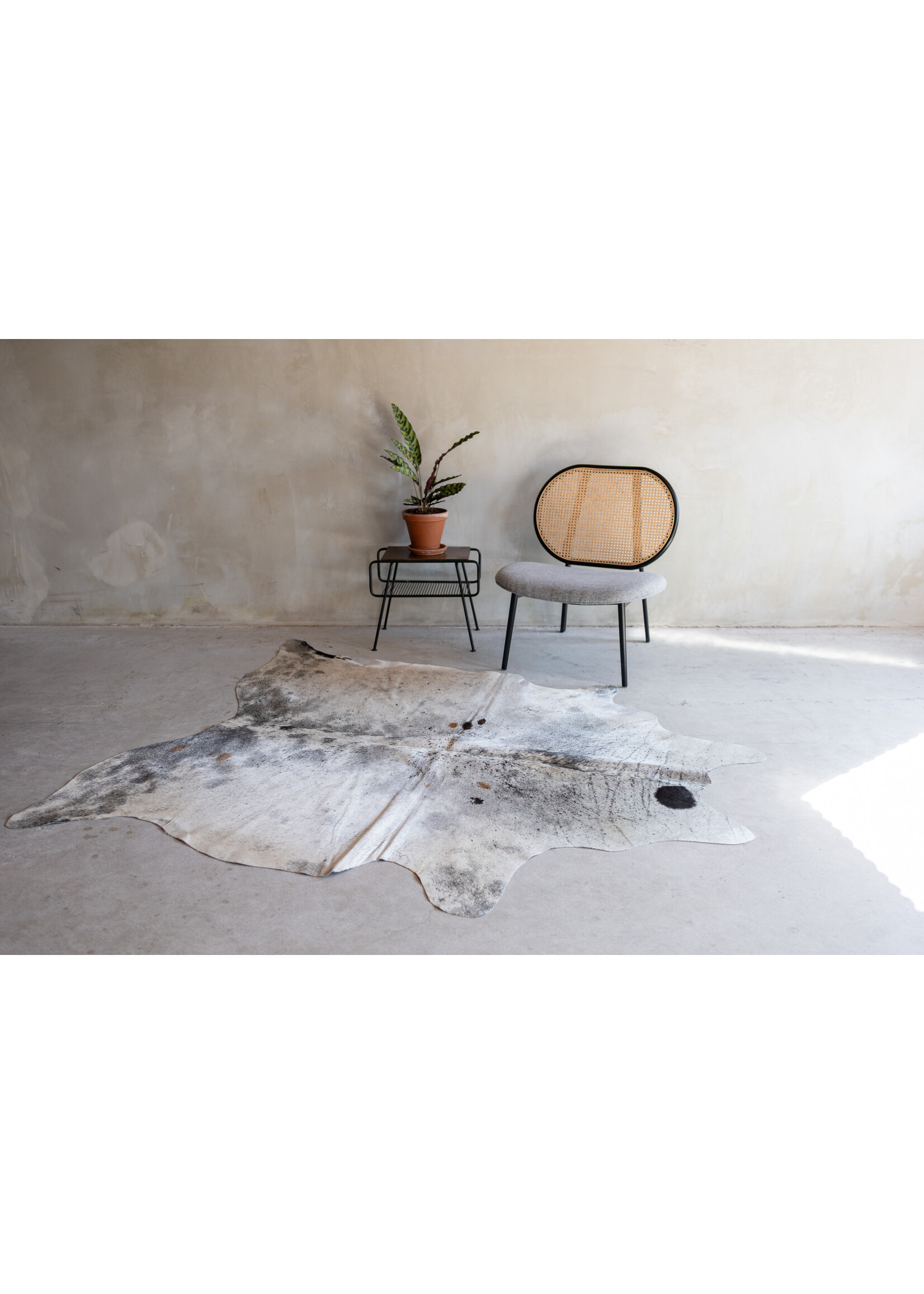 Van Buren sinds 1861 Kuhfell spotted - 3-4m² - KH-012