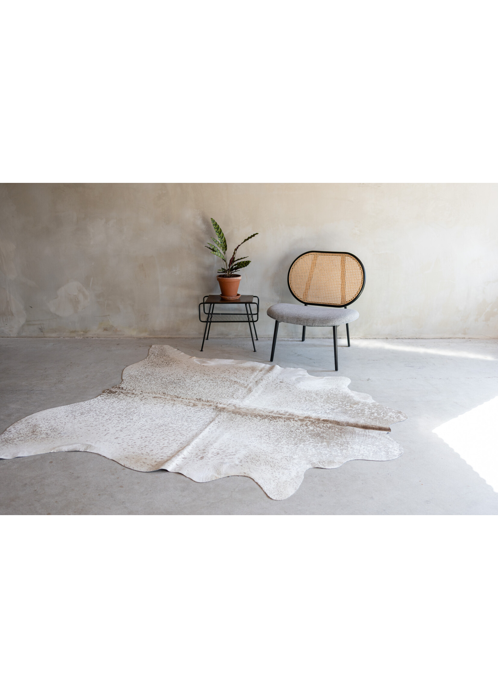 Van Buren sinds 1861 Cowhide spotted - 3-4m² - KH-011
