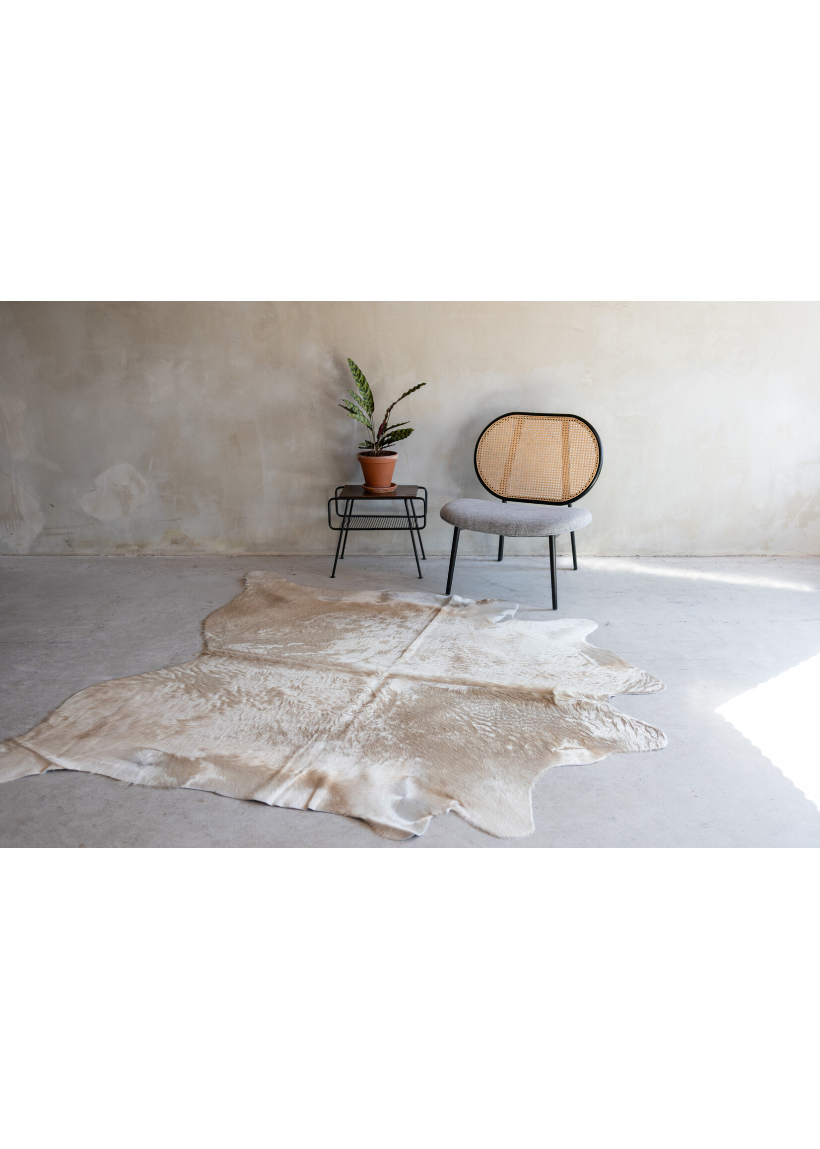 Van Buren sinds 1861 Cowhide champagne - 3-4m² - KH-010