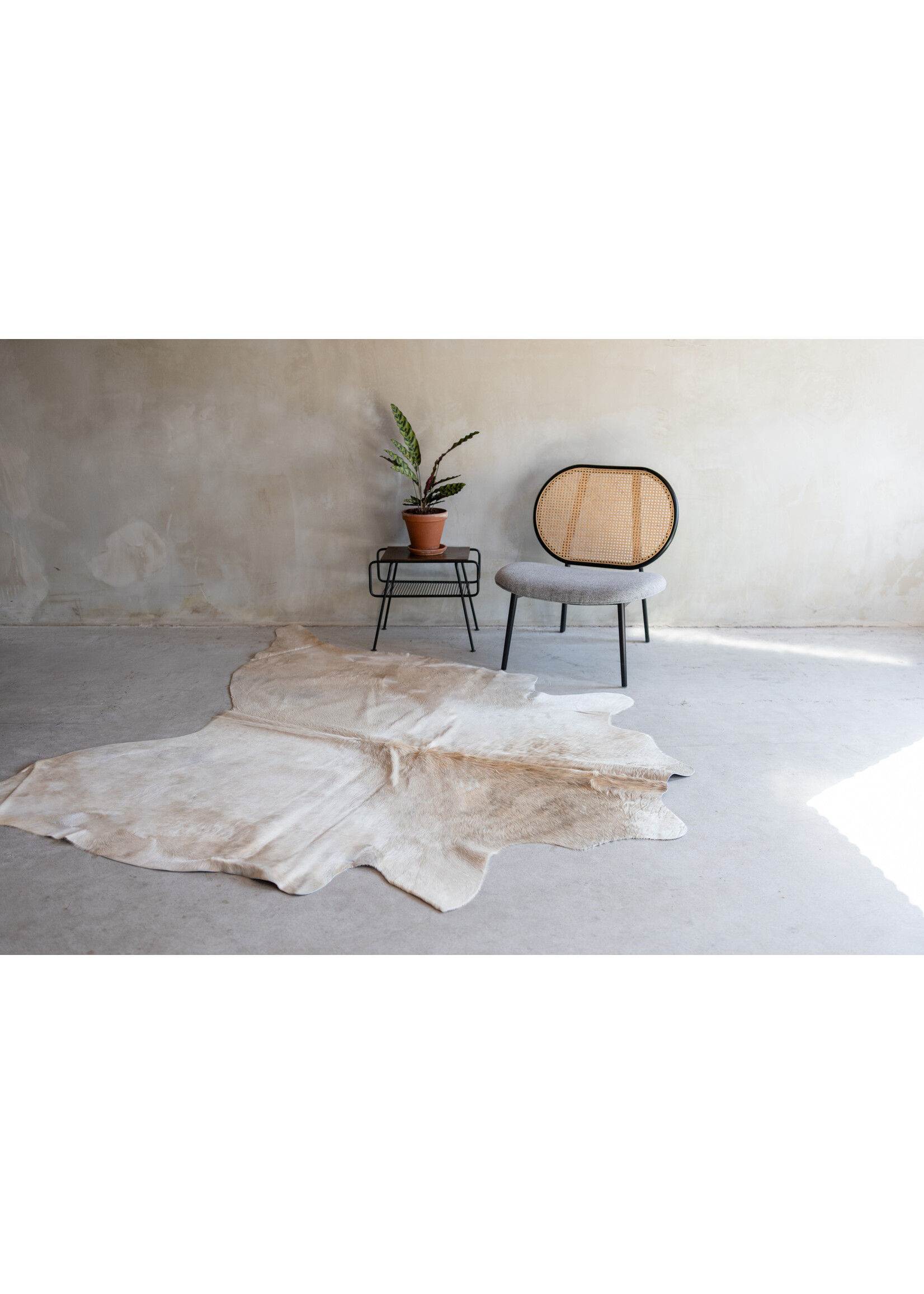 Van Buren sinds 1861 Cowhide champagne - 3-4m² - KH-008