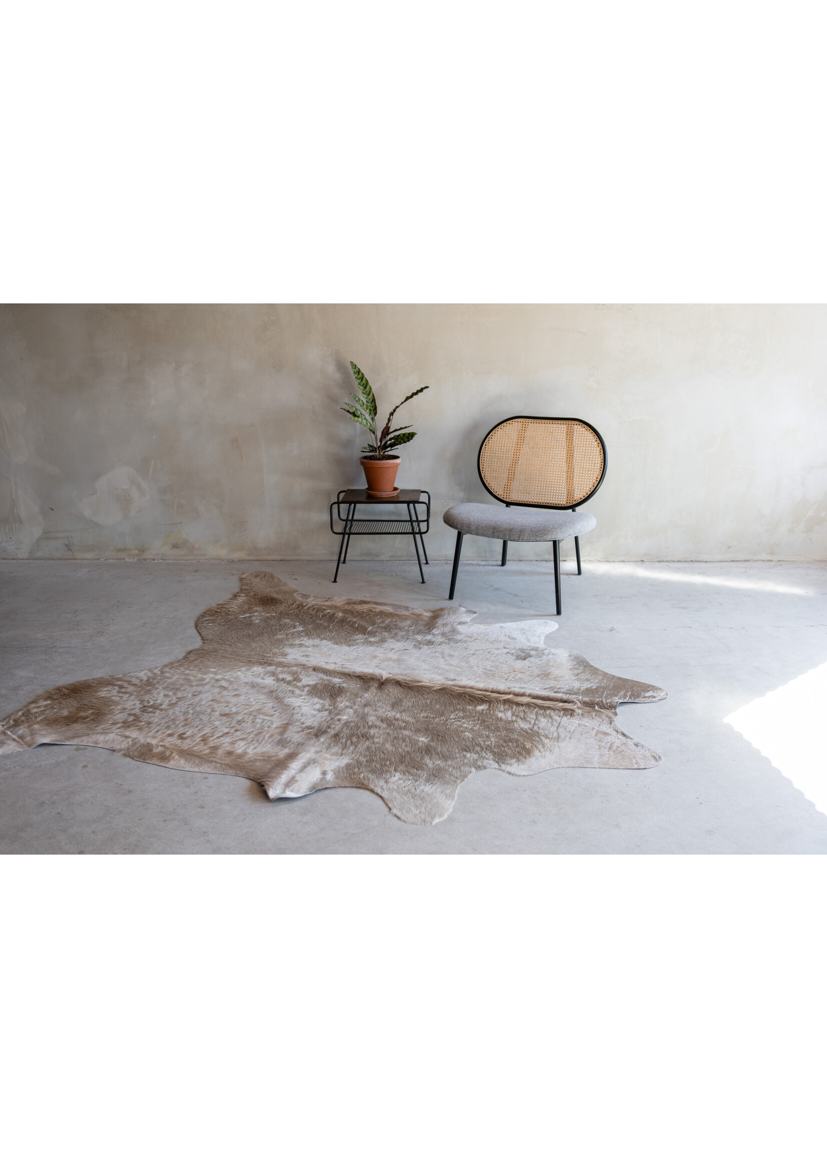 Van Buren sinds 1861 Cowhide champagne - 3-4m² - KH-007