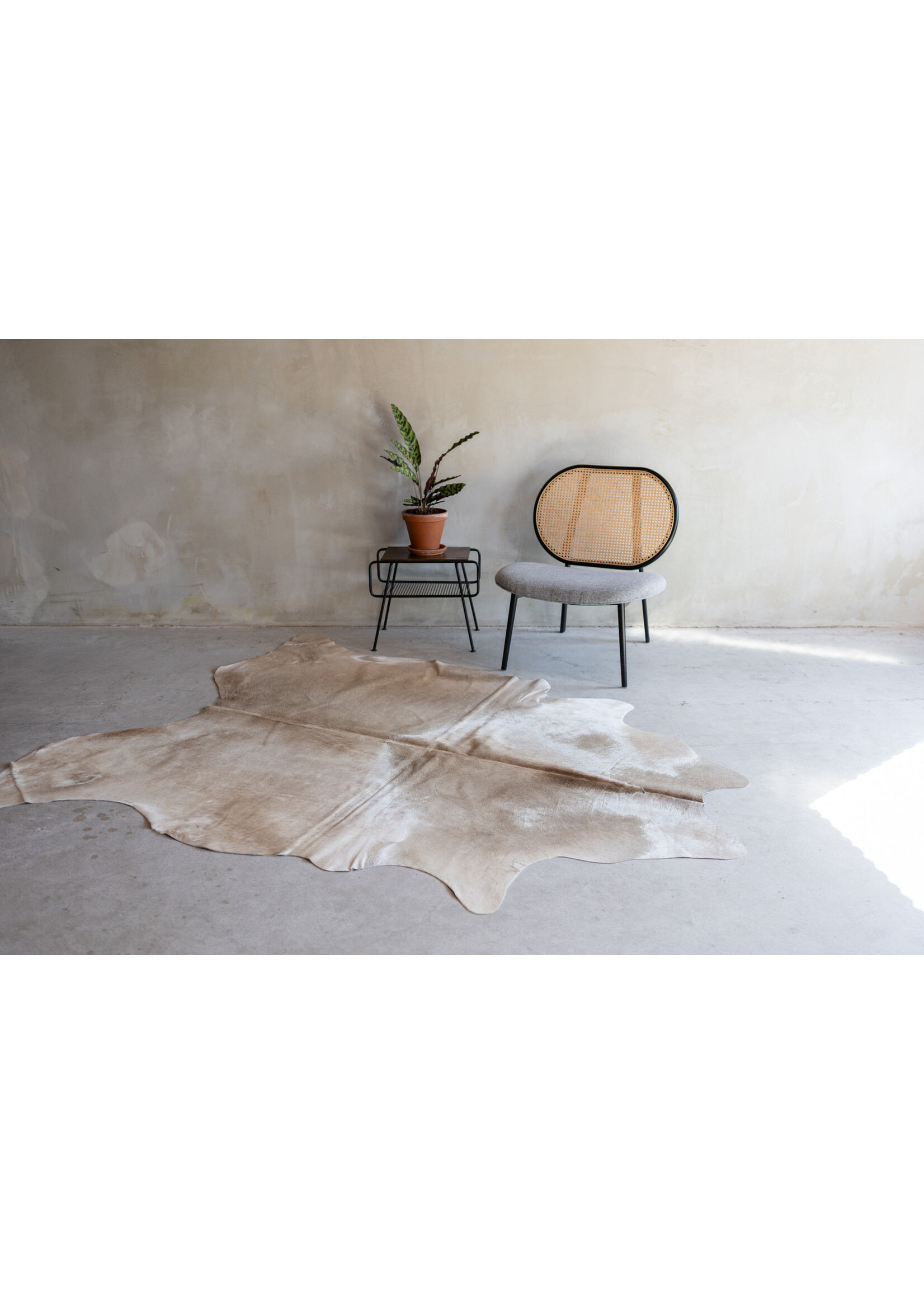 Van Buren sinds 1861 Cowhide champagne - 3-4m² - KH-006