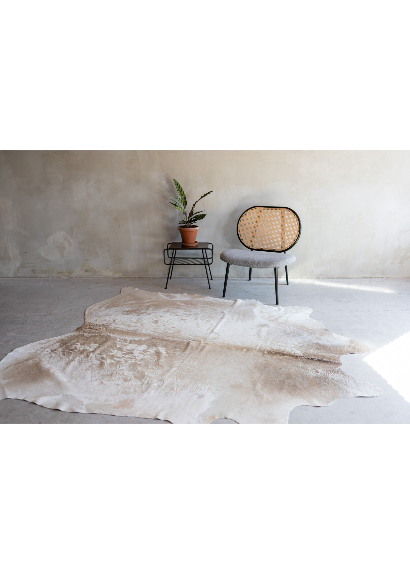 Van Buren sinds 1861 Cowhide champagne - 3-4m² - KH-002