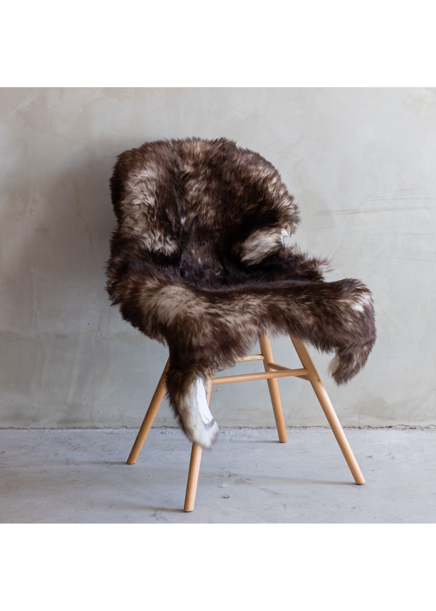 Van Buren sinds 1861 Mouflon sheepskin - 113x70cm - SVV-337