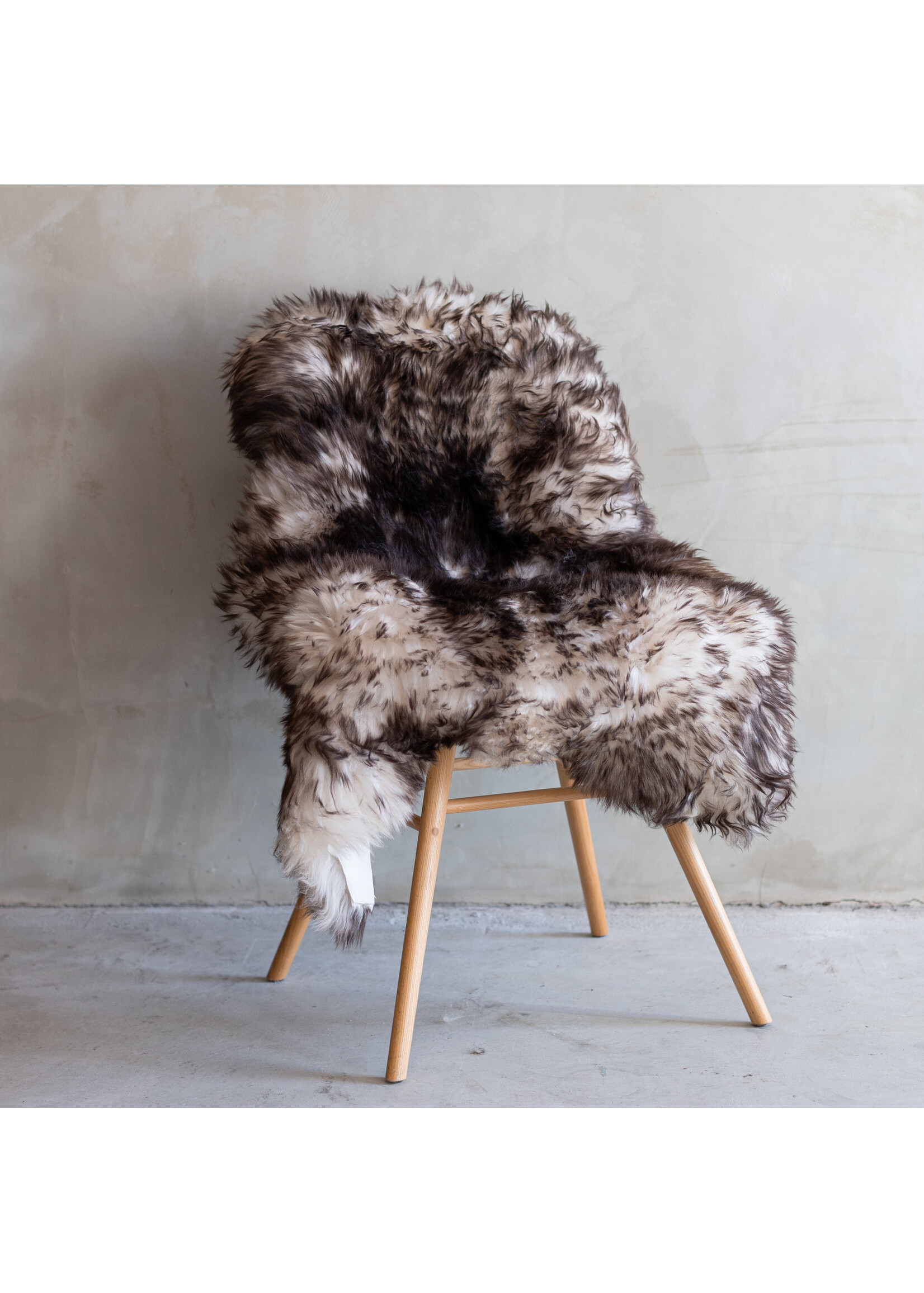 Van Buren sinds 1861 Mouflon schapenvacht - 120x80cm - SVV-335