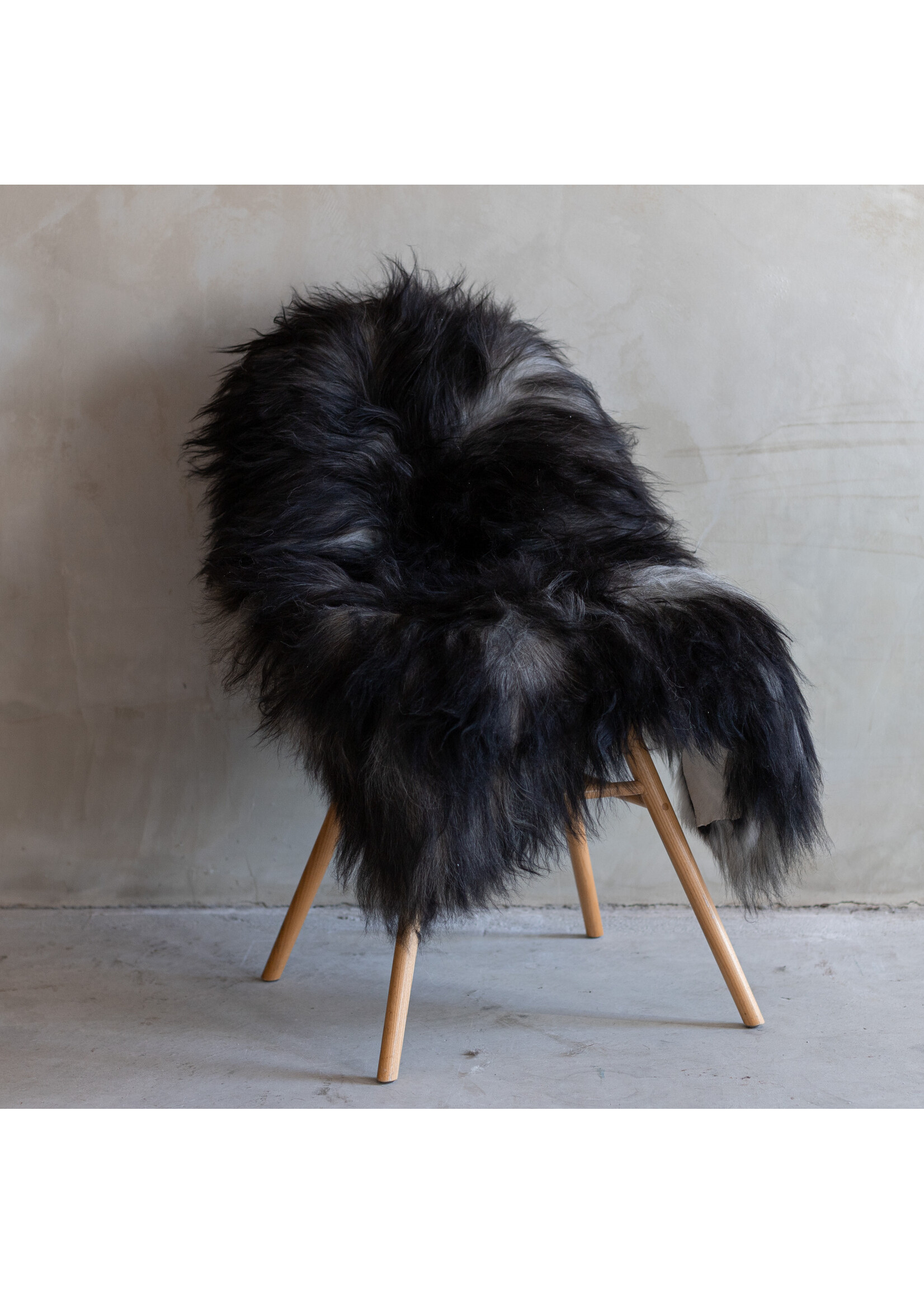 Van Buren sinds 1861 Icelandic sheepskin natural grey - 110x80cm - SVV-302